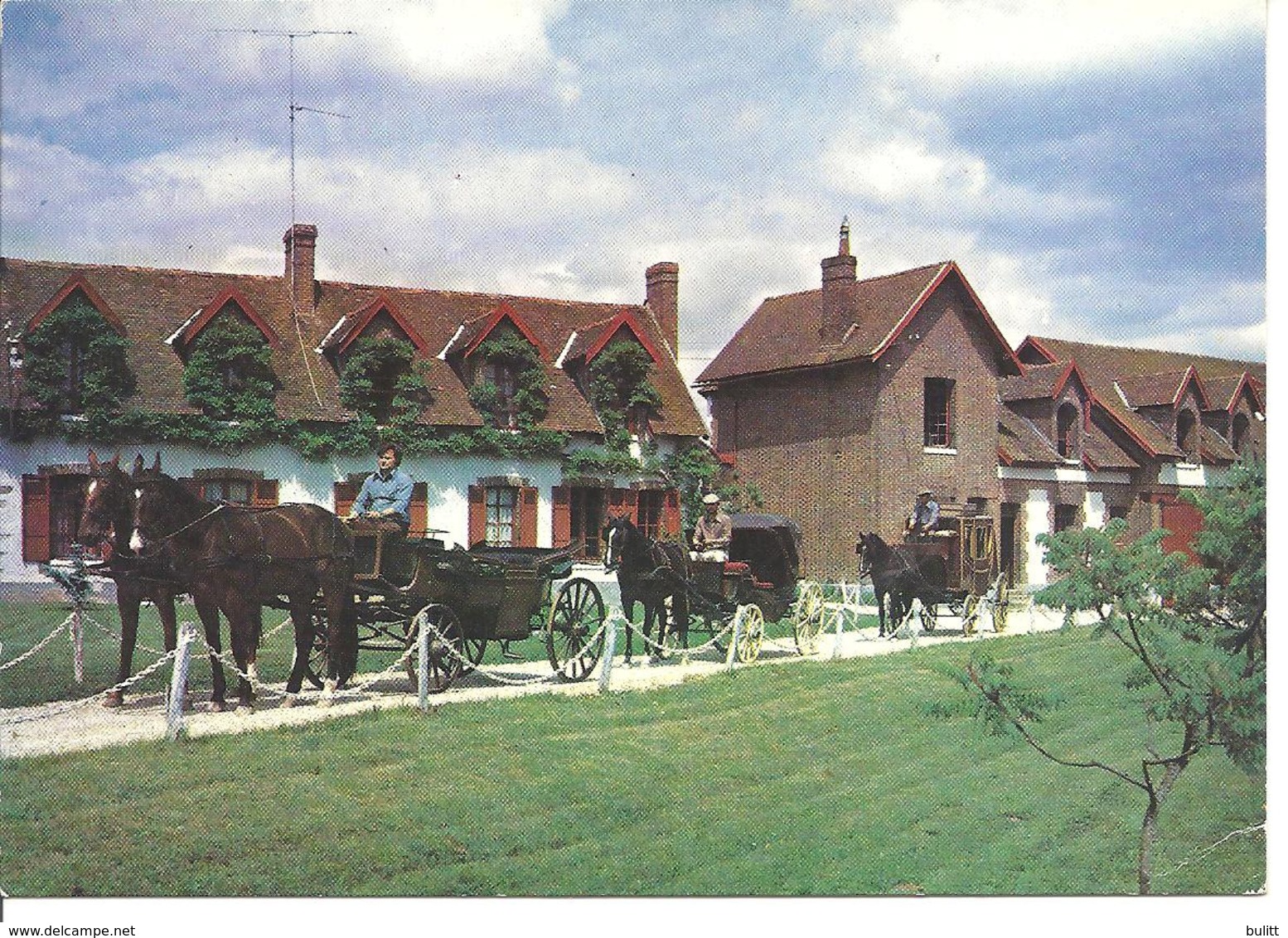 CERISIERS - Haras De Villechétive - Attelage De Chevaux - Cerisiers