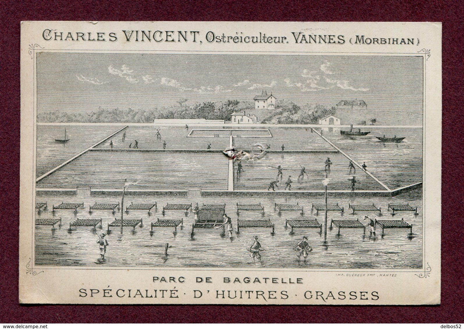 VANNES  (56) : " HUÎTRES GRASSES - CH. VINCENT " - Visiting Cards