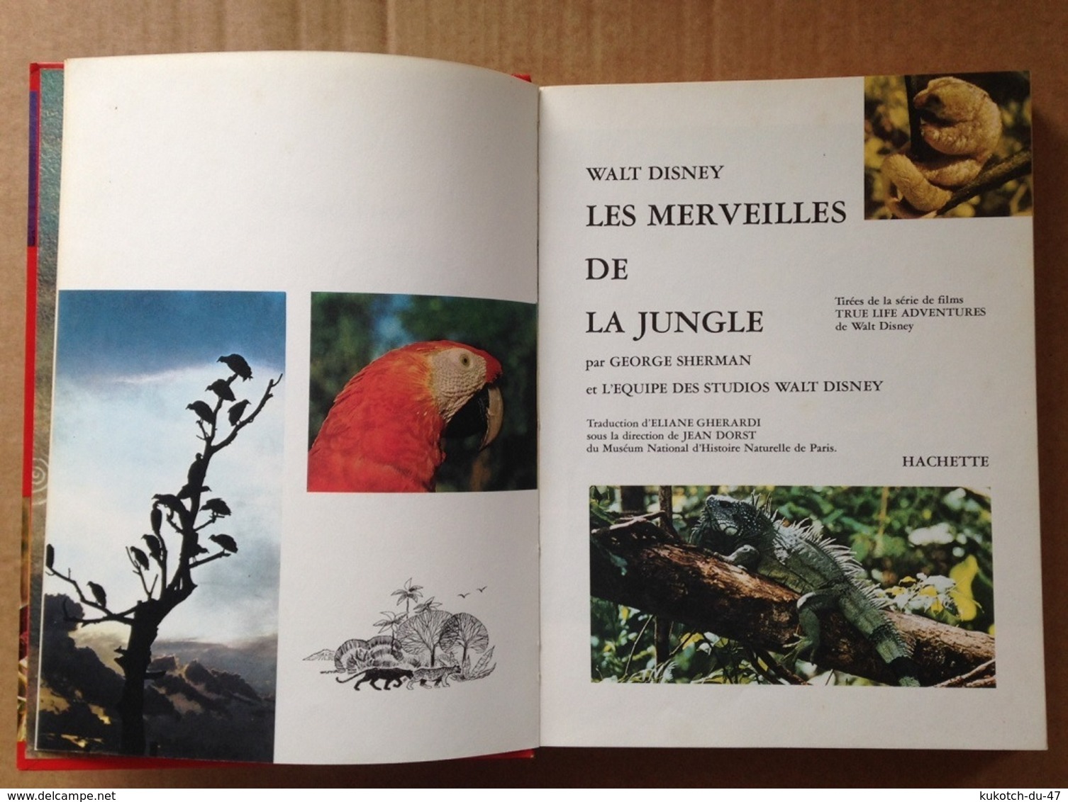 Disney - Les Merveilles De La Jungle (1973) - Encyclopédies