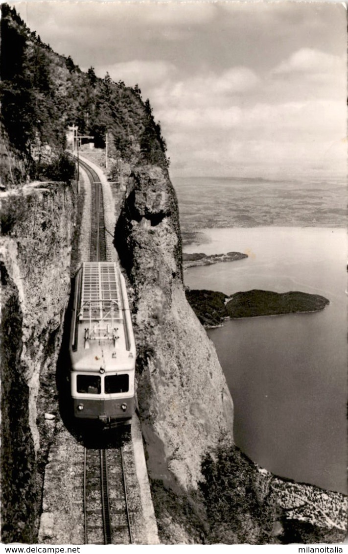 Arth-Rigi-Bahn - Kräbelwand - Blick Auf Den Zugersee (1115) - Arth