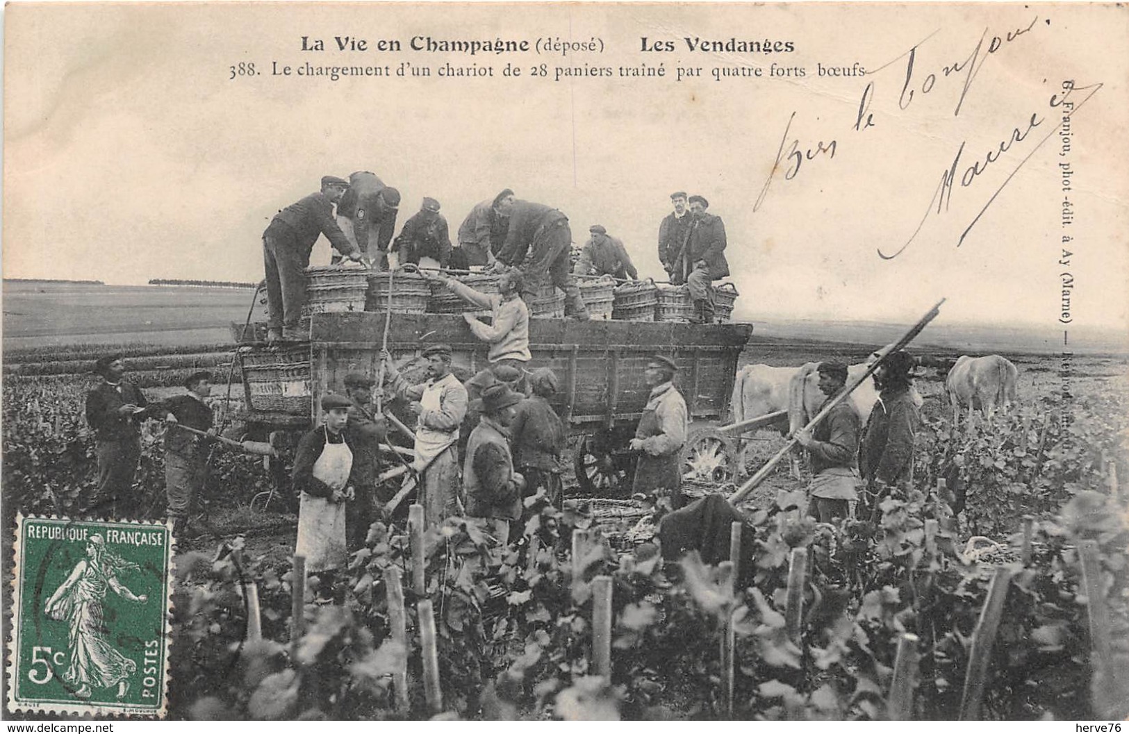 La Vie En Champagne - Les Vendanges - Le Chargement D'un Chariot De 28 Paniers Traîné Par Quatre Forts Boeufs - Sonstige & Ohne Zuordnung