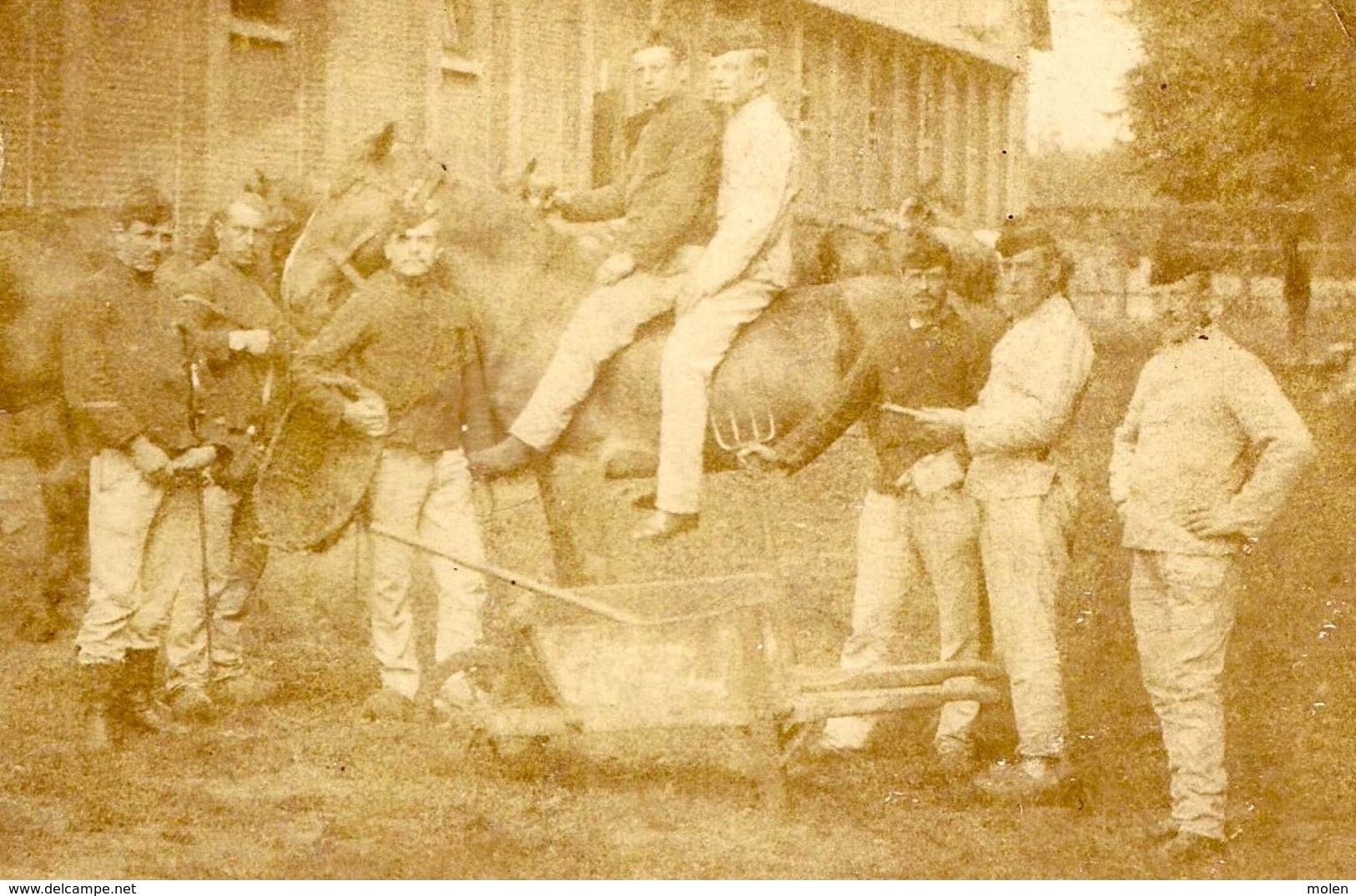 BRASSCHAAT POLYGONE 1905 FOTOKAART ARTILERIE CAVALERIE MILITAIR PAARD CARTE PHOTO CAVALIER MILITAIRE CHEVAL SOLDAT 3495 - Autres & Non Classés