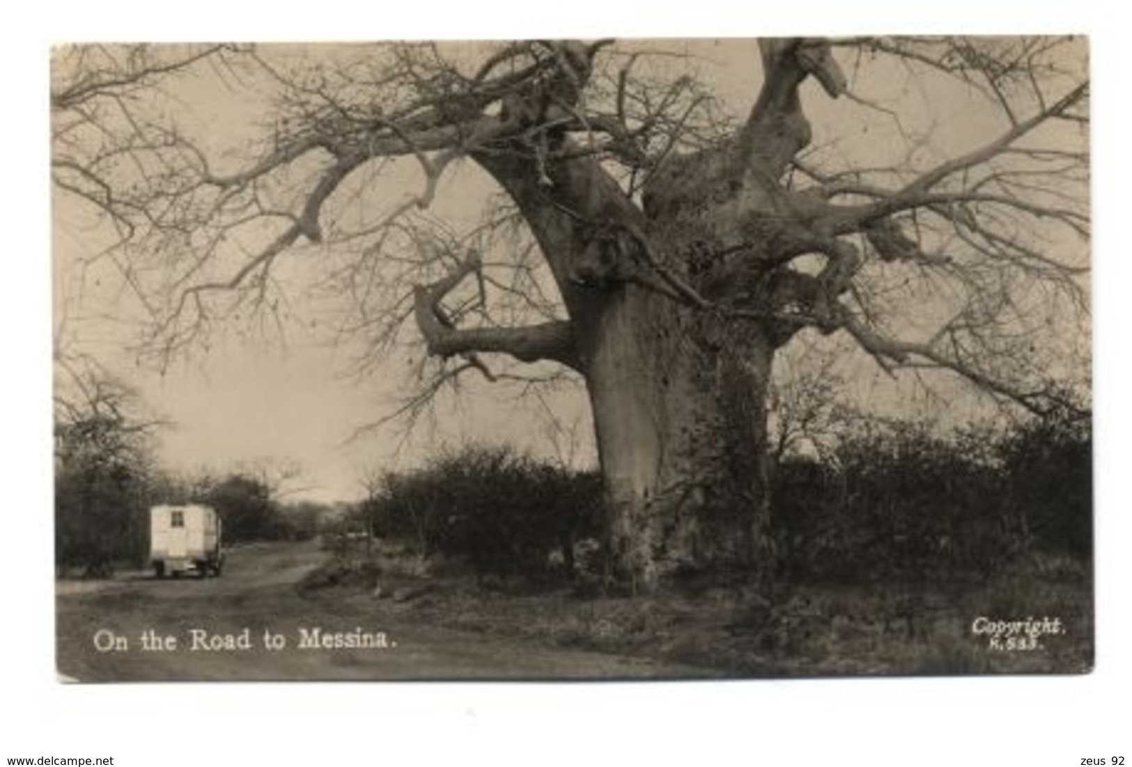 C2351 MESSINA ? - FOTOGRAFICA ON THE ROAD TO MESSINA SULLA STRADA PER MESSINA CON CAMPER E ALBERO 1938 ? - Messina