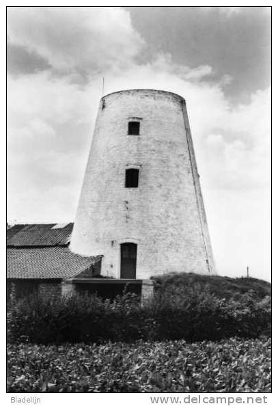 PEIZEGEM Bij Merchtem (Brabant) - Molen/moulin - De Romp Van De Koutermolen (omstreeks 1960-1970) - Merchtem