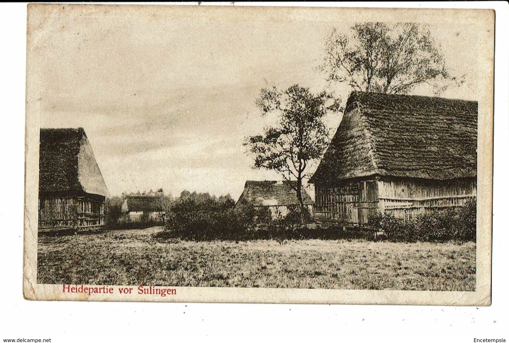CPA-Carte Postale-Allemagne- Sulingen- Heidepartie Vor Sulingen-1918 VM7304 - Diepholz