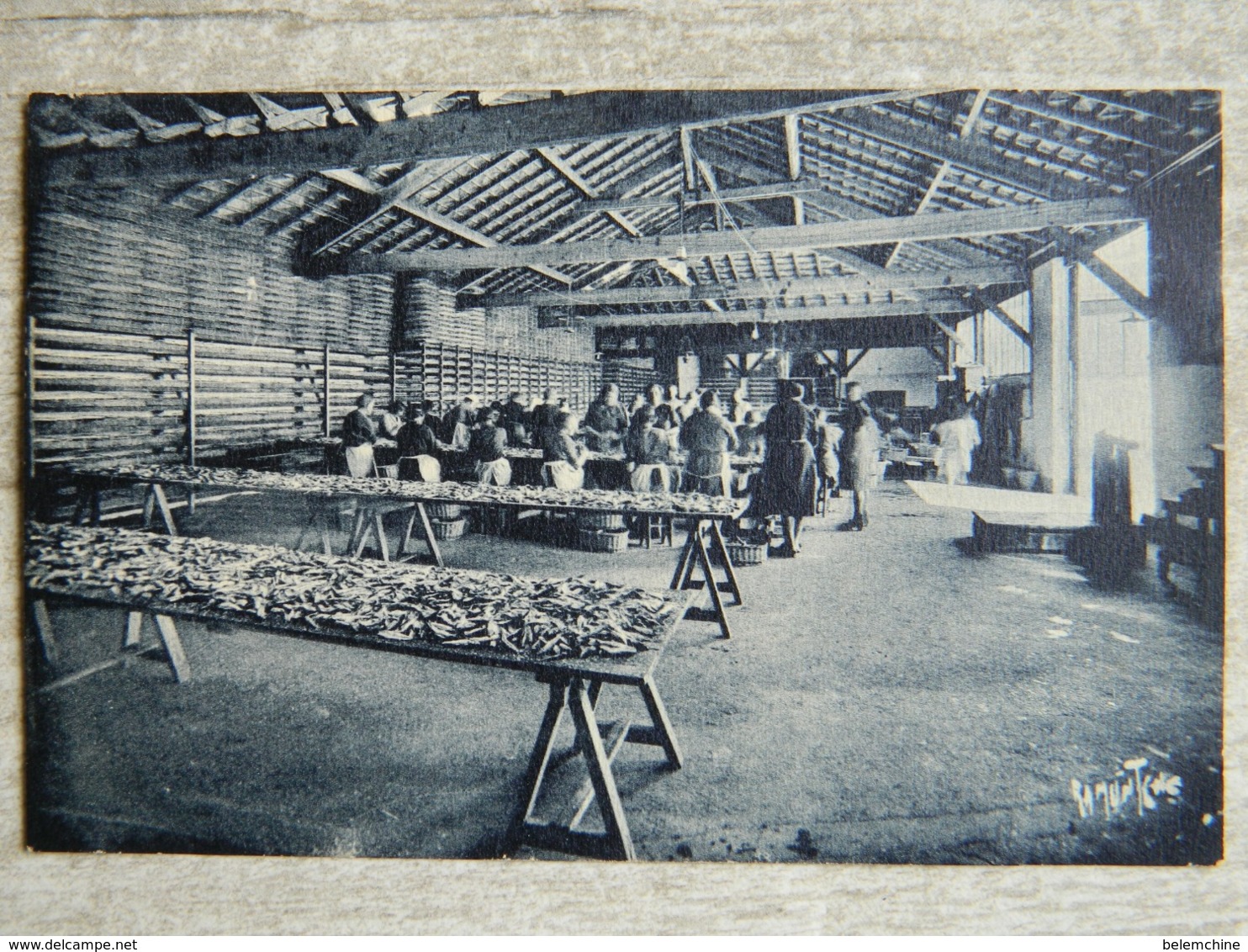 USINE DE CONSERVES DE SARDINES A CROIX DE VIE - Saint Gilles Croix De Vie