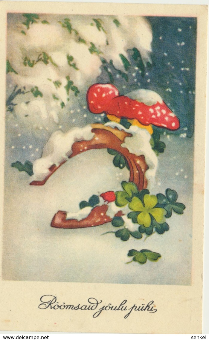 75-720 Mushrooms Fly-agaric Fliegenpilze Estonia Christmas - Pilze