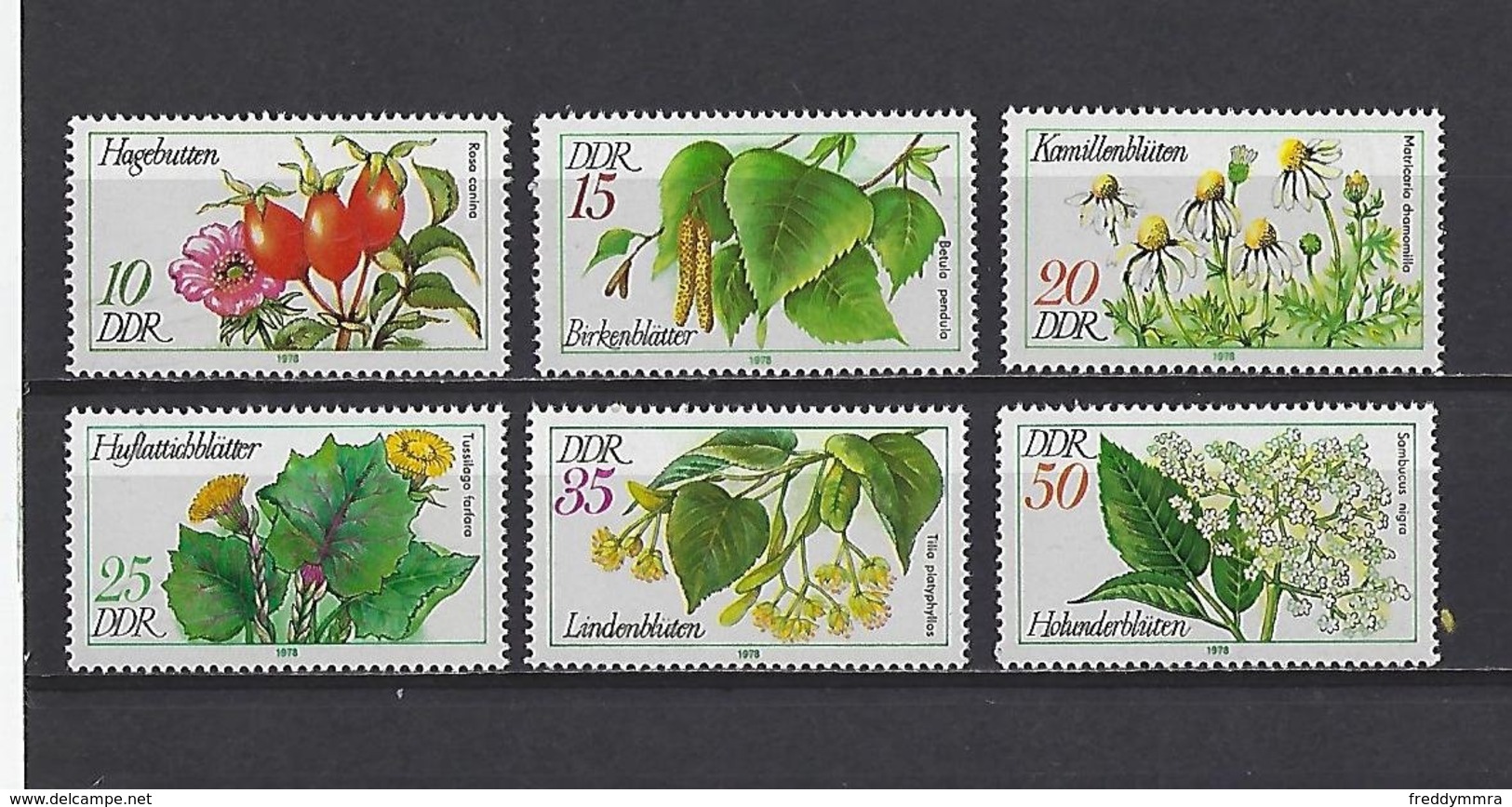 DDR: 1957/ 1962 ** Plantes Officinales - Pharmacy