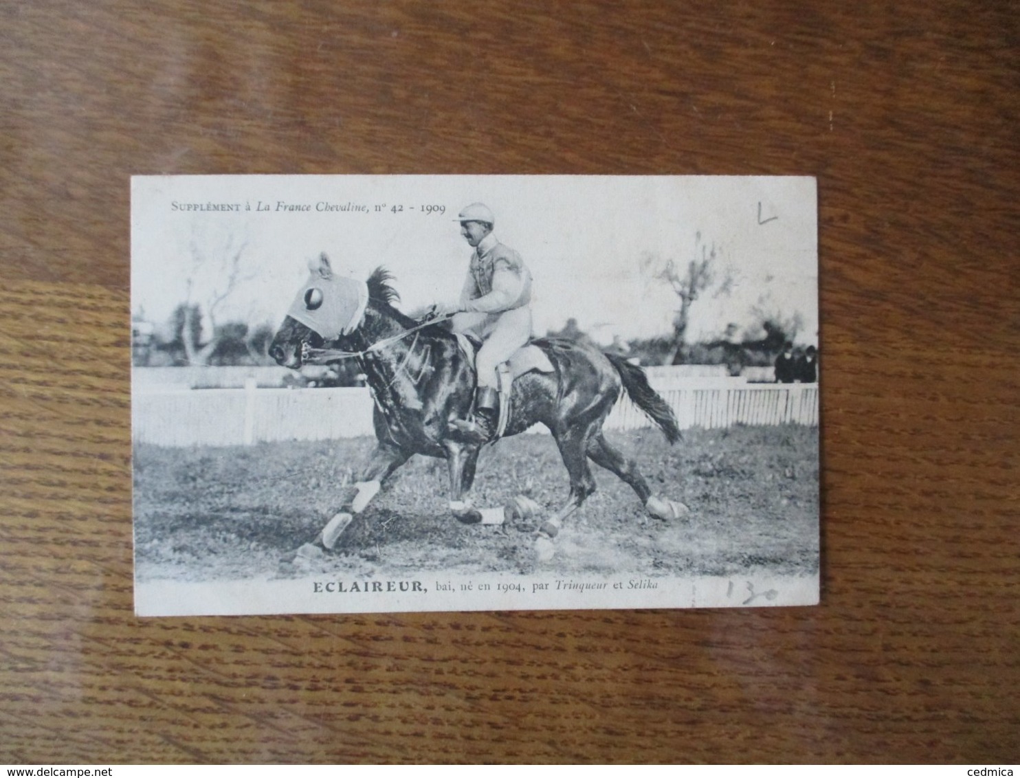ECLAIREUR,BAI,NE EN 1904,PAR TRINQUEUR  ET SELIKA,SUPPLEMENT A LA FRANCE CHEVALINE N°42-1909 - Pferde