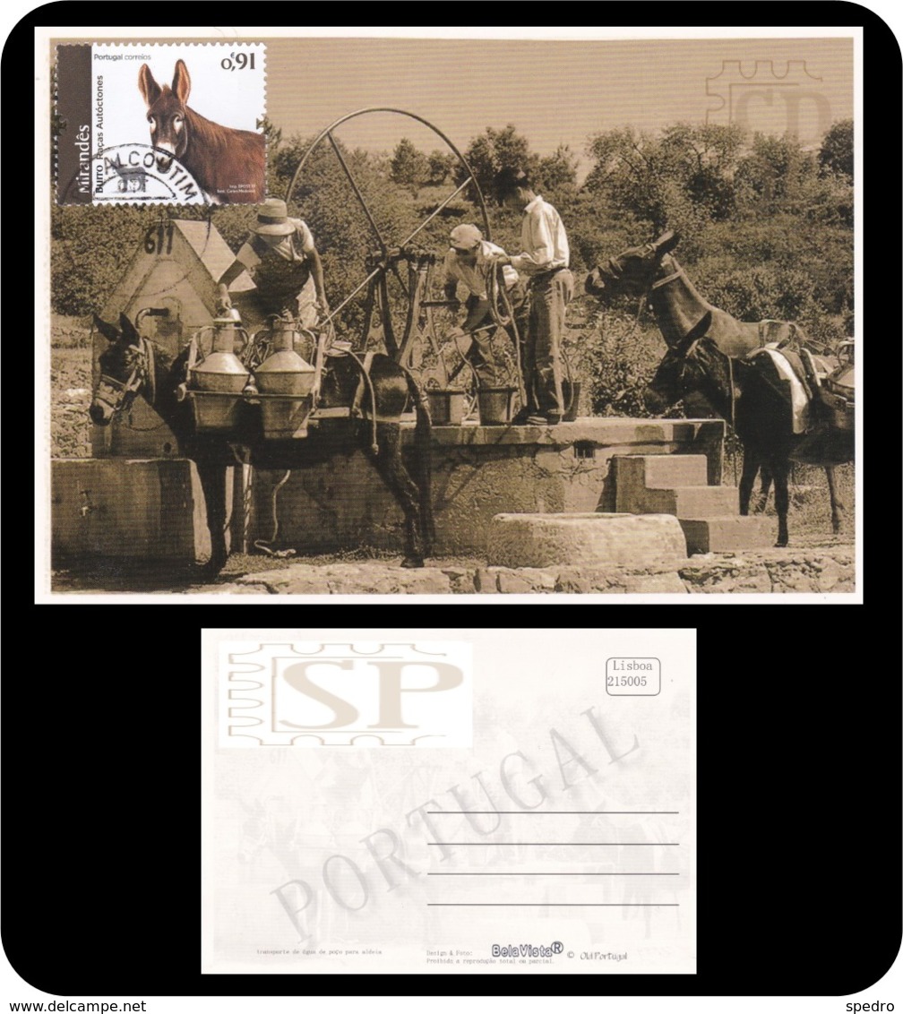 Portugal 2019 Postal Máximo Raças Autoctones Burro Maximum Maxicard Alcoutim Algarve Donkey Ane Asno Water - Ezels