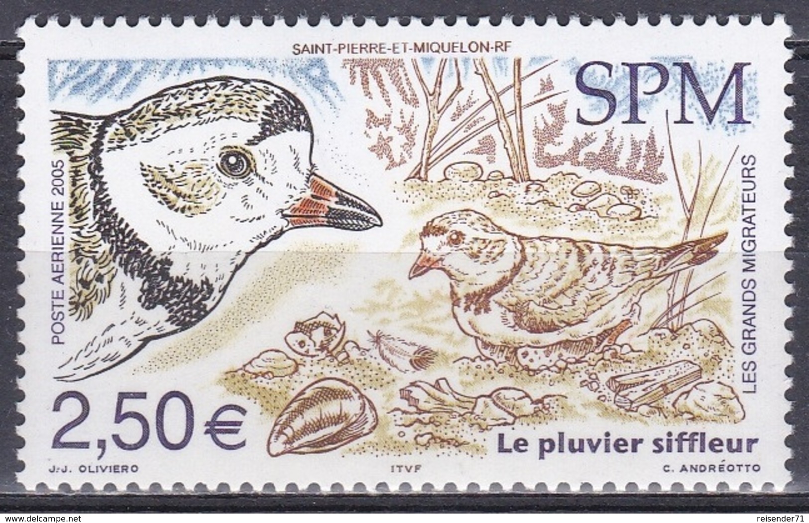 St. Pierre Und Miquelon 2005 Tiere Fauna Animals Vögel Birds Oiseaux Aves Uccelli Zugvögel Regenpfeifer, Mi. 944 ** - Unused Stamps