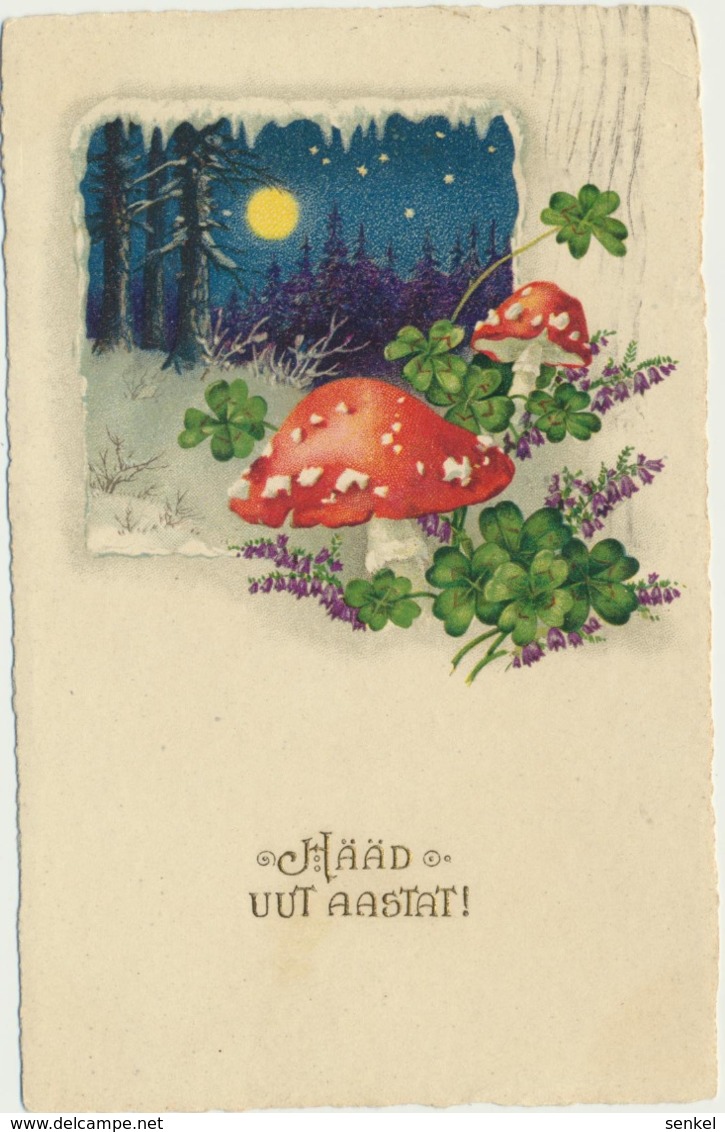 75-766 Mushrooms Fly-agaric Fliegenpilze New Year Estonia - Hongos