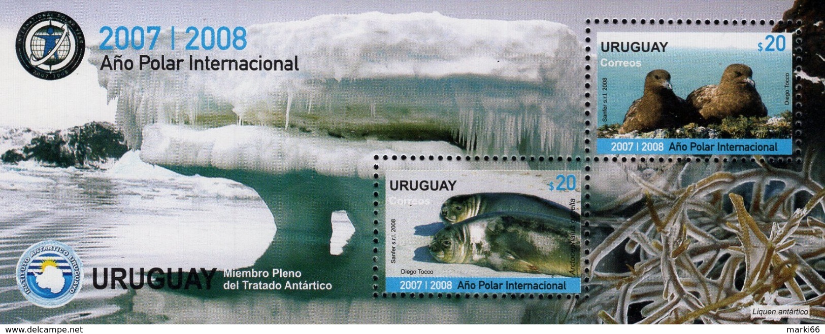 Uruguay - 2008 - International Polar Year - Mint Souvenir Sheet - Uruguay