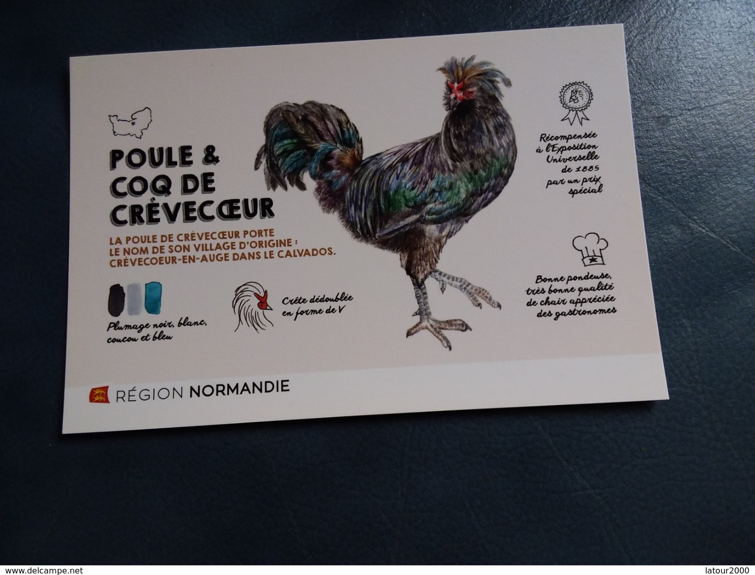 POULE ET COQ DE CREVECOEUR REGION NORMANDIE - Autres & Non Classés