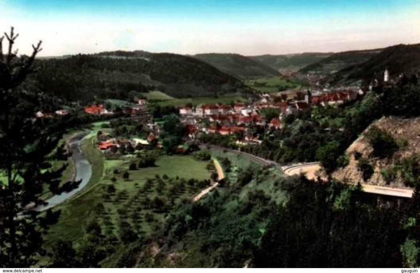 CPSM - HORB Am NECKAR - Vue Gale Du Site ... - Horb