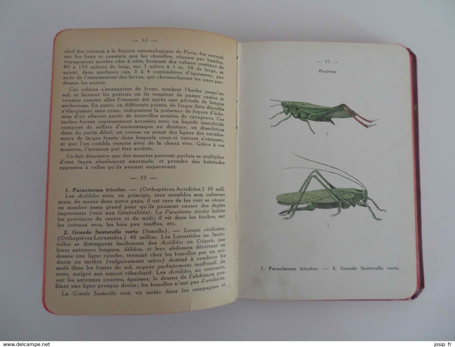 ATLAS DE POCHE DES INSECTES DE FRANCE (ERNEST DONGE) 1924 (72 PLANCHES COULEUR- 322 INSECTES) - Encyclopédies