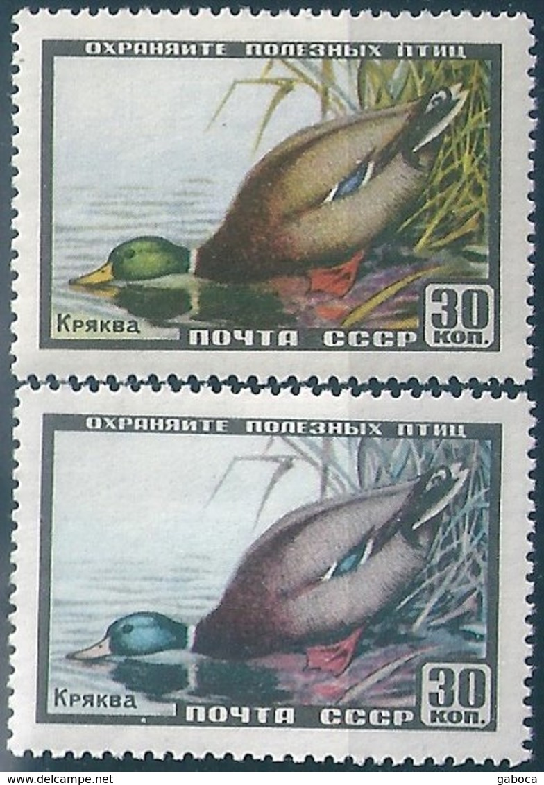 B6424 Russia USSR Fauna Wild Animal Bird ERROR - Ducks