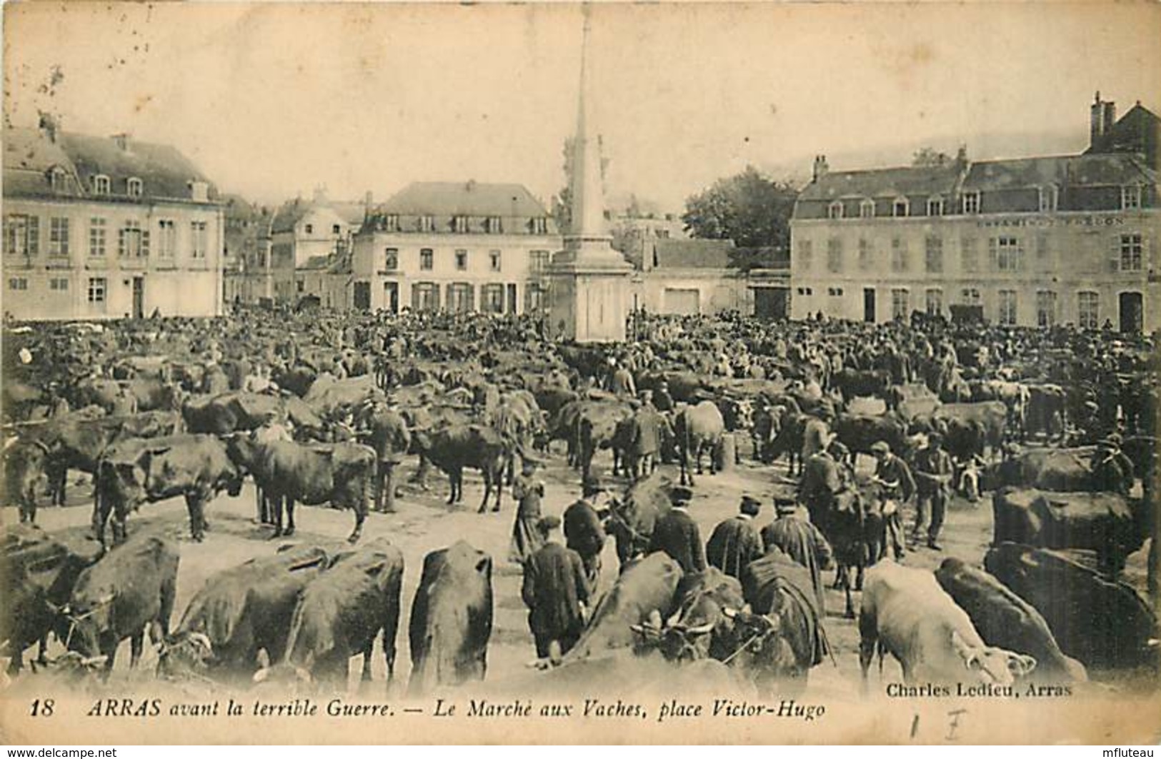 62* ARRAS Marche Aux Vaches                  MA95,0170 - Arras