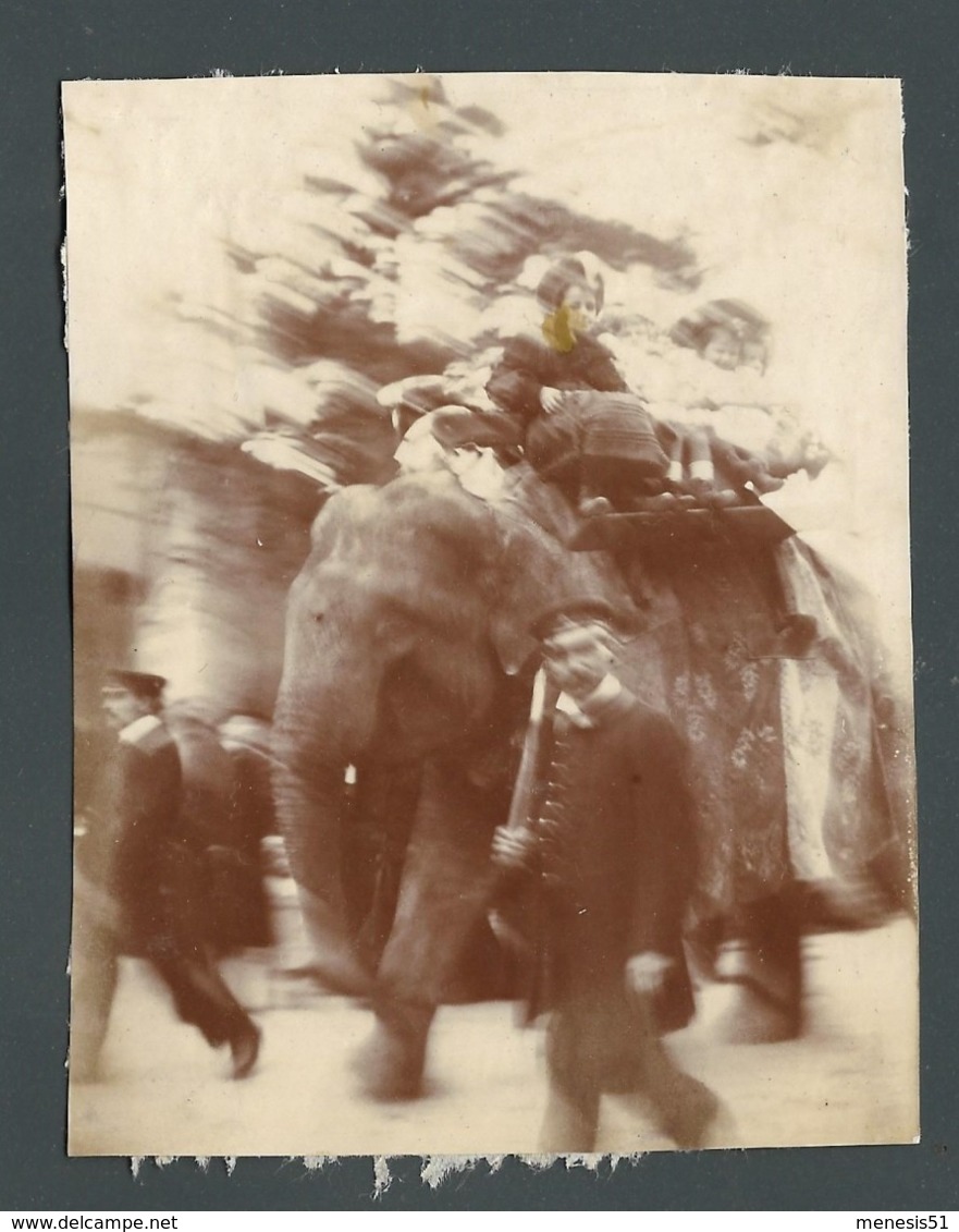 Photo Ancienne Old Real Foto Ratée Floue Mistake Blurry Abstract éléphant Et Cornac Mahout En Mouvement - Autres & Non Classés