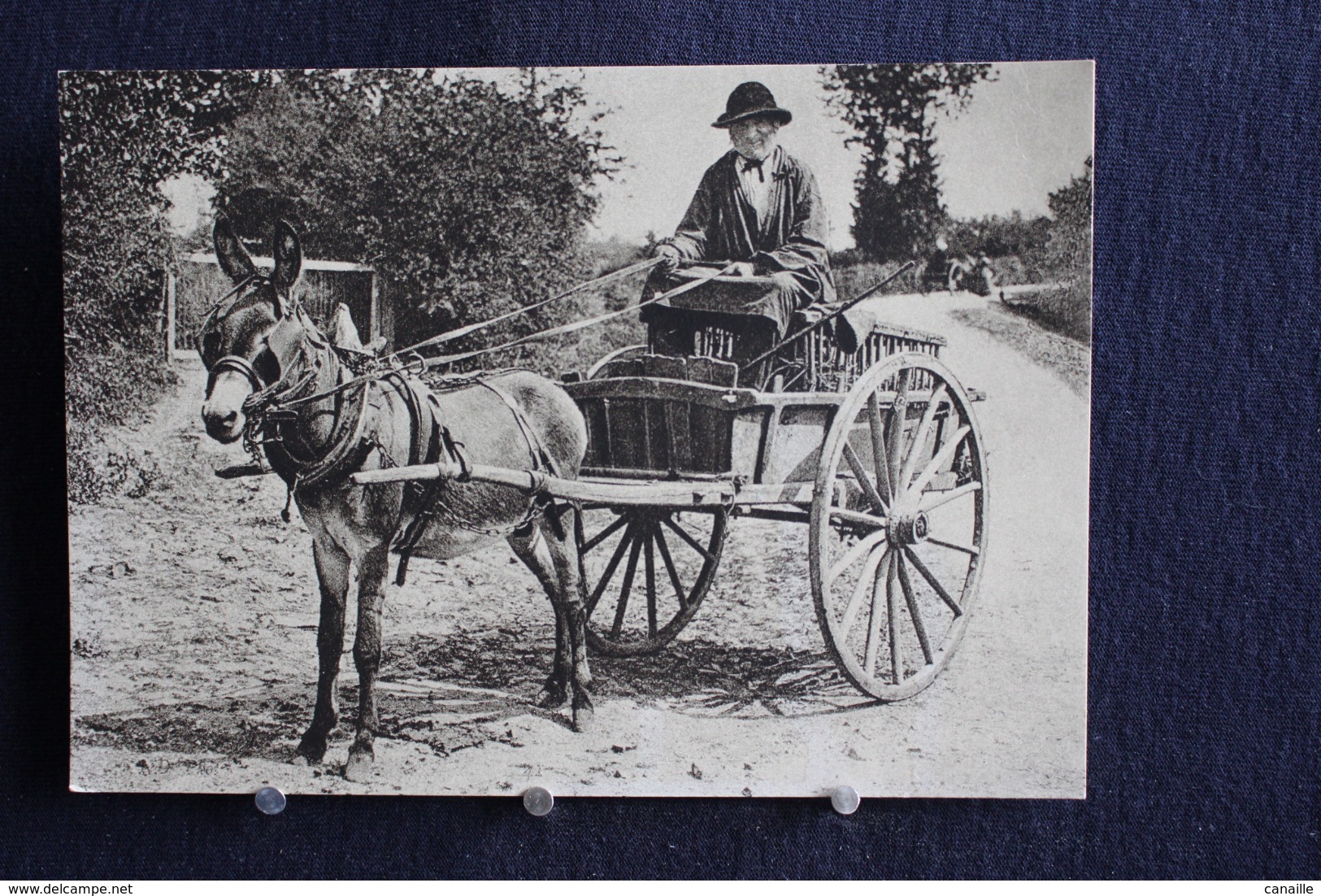 G-53 /France-[58] Nièvre, Morvan Auxois - Nivernais : Marchand Morvandiau / éditions Moderne - Photographiques Du Morvan - Autres & Non Classés