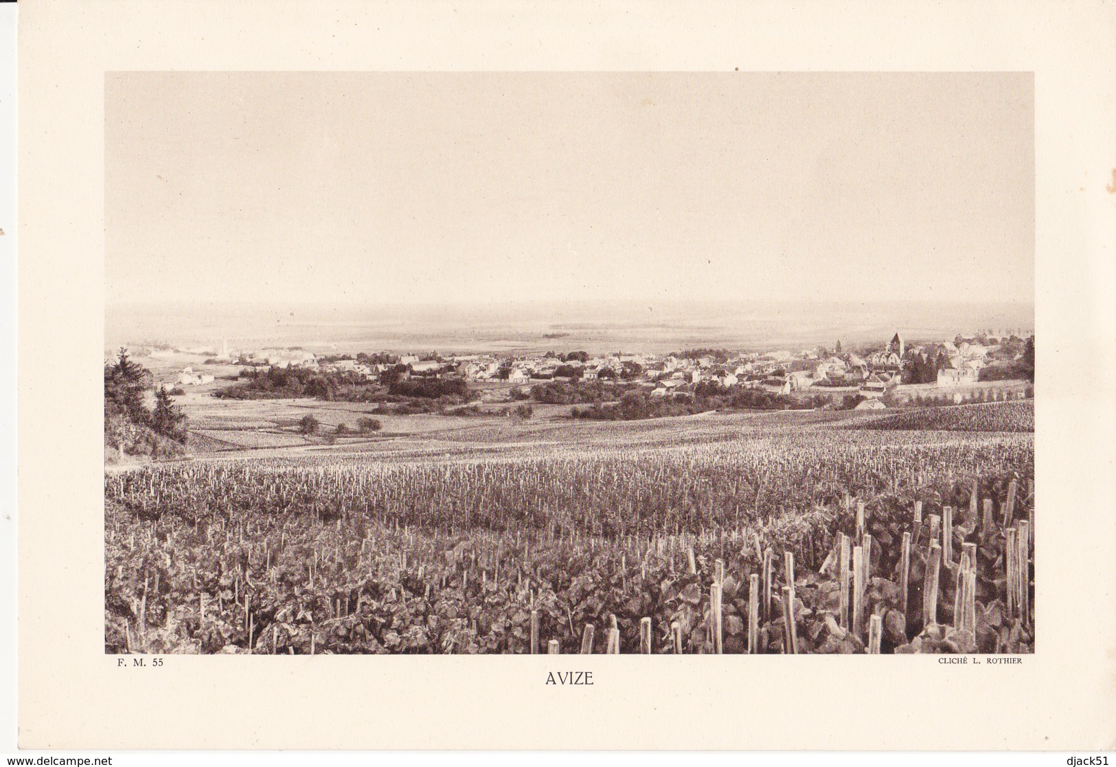 Grande Photo (Phototypie, Héliogravure) - F.M. 55 / AVIZE (Village Champagne, Vigne) - Cliché L. ROTHIER - Non Classés