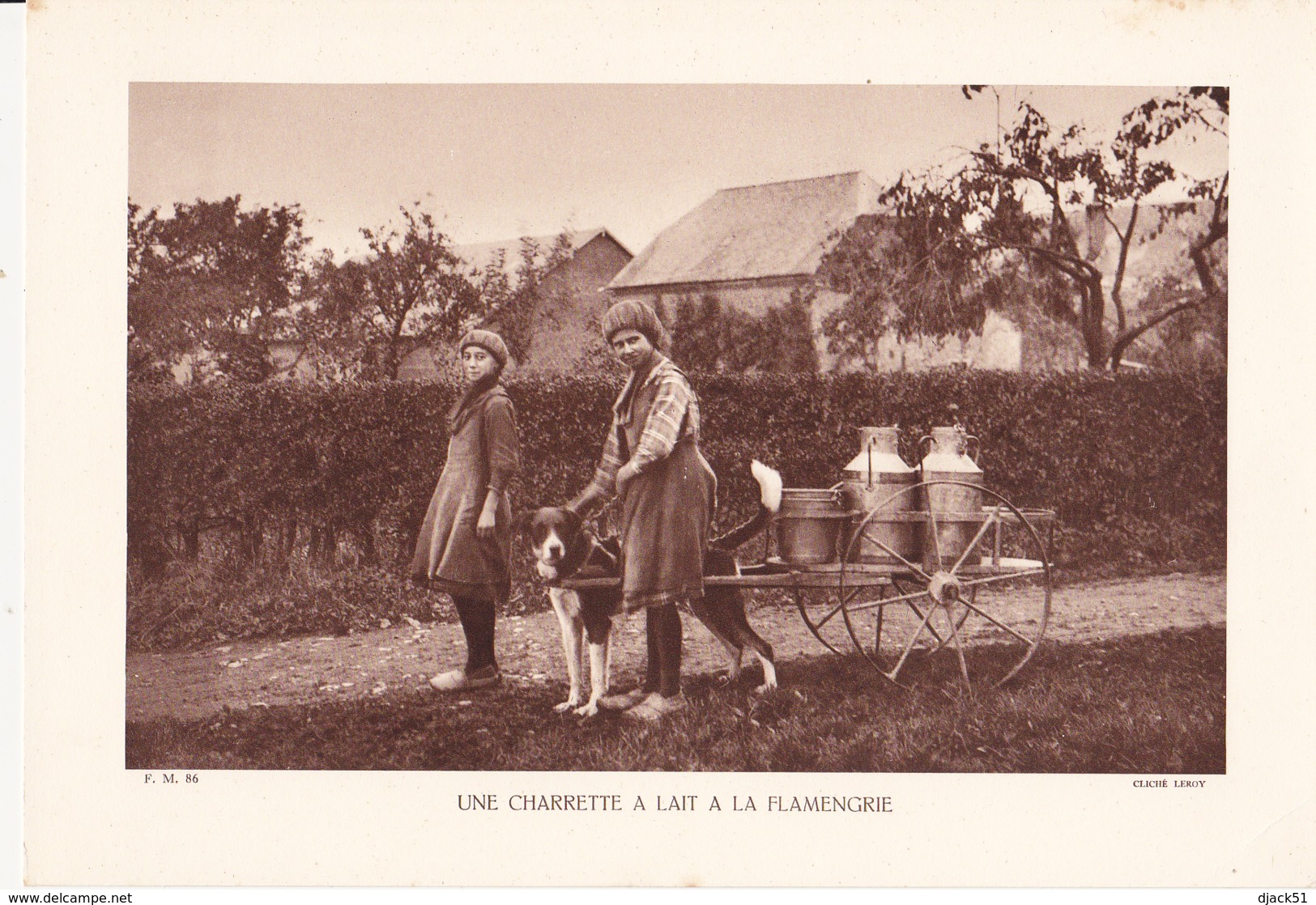 Grande Photo (Phototypie, Héliogravure) - F.M. 86 /  UNE CHARRETTE A LAIT A LA FLAMENGRIE (Chien) - Cliché LEROY - Non Classés