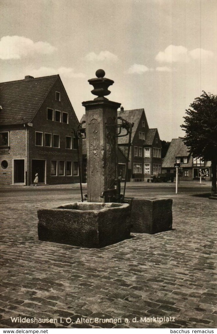 WILDESHAUSEN/OLDENBURG Alter Brunnen A.d.Marktplatz - Wildeshausen