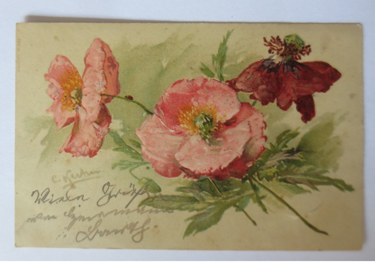 Künstlerkarte,Blumen, Mohnblumen,  1905, C. Klein, Prägekarte ♥ (15975) - Klein, Catharina
