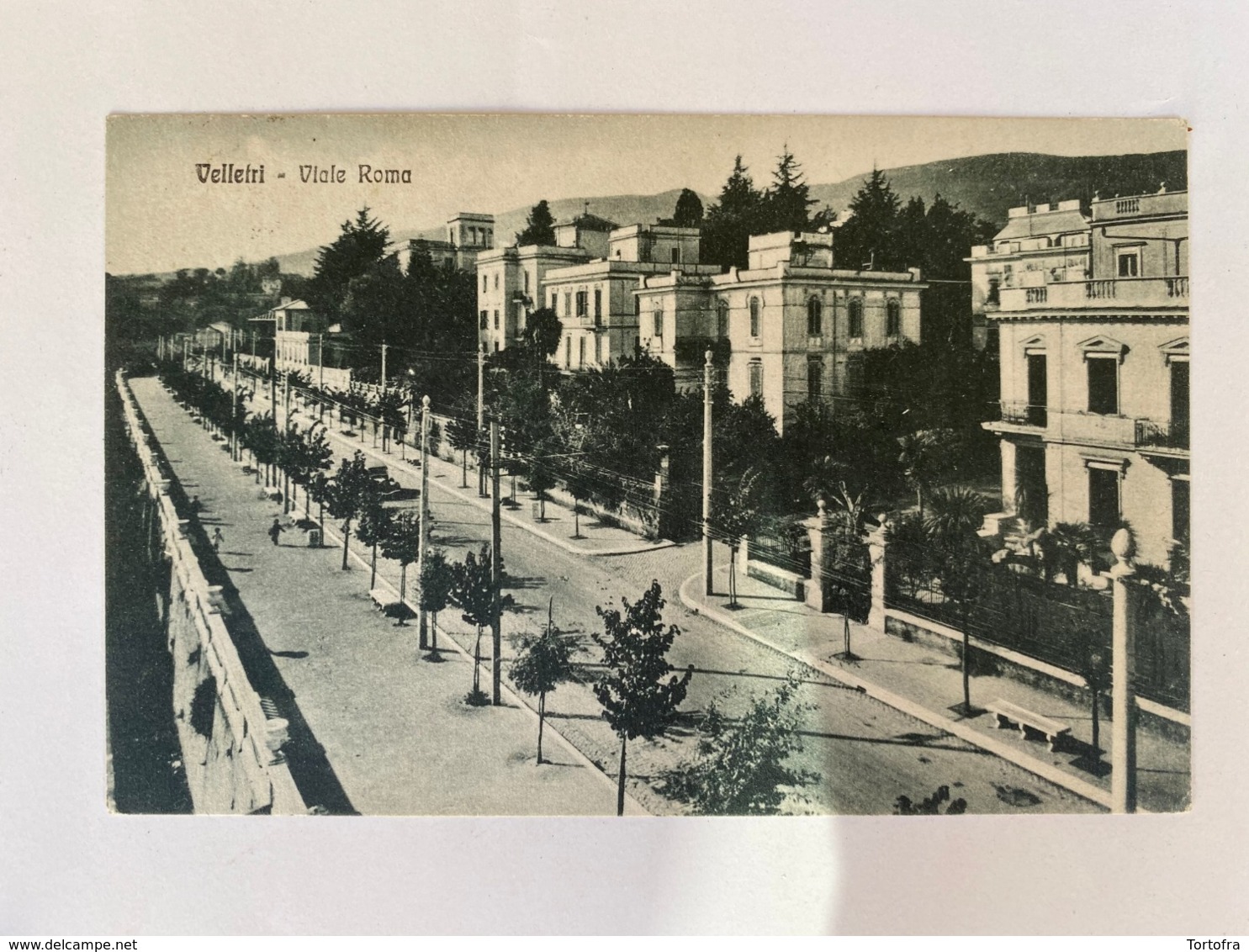 VELLETRI VIALE ROMA  1942 - Velletri