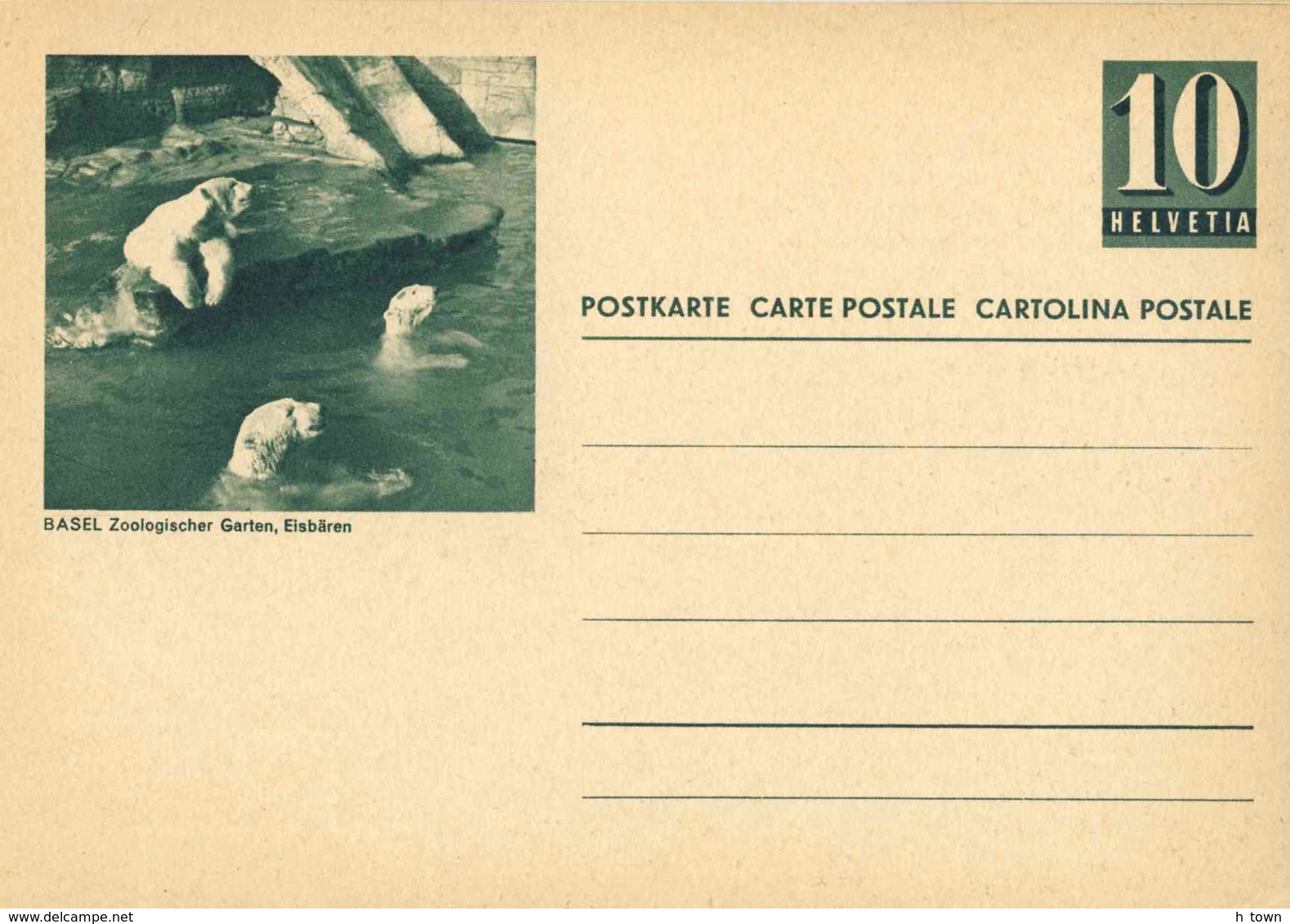 922  Ours Polaire, Zoo: Entier (c.p.) Suisse -  Polar Bear, Basel Zoo Stationery Postcard - Ours