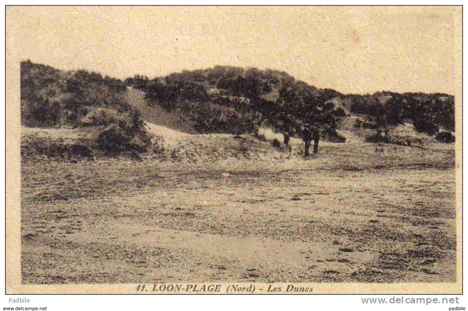 Carte Postale 59. Loon-Plage   Les Dunes Animée  Trés Beau Plan - Other & Unclassified