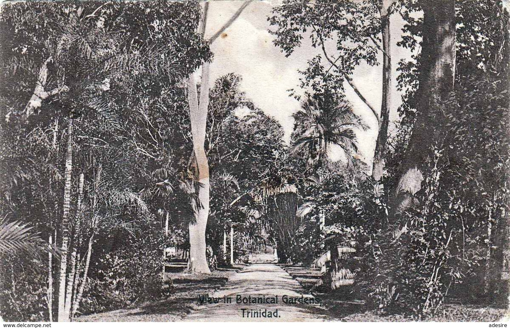 TRINIDAD, View In Botanical Gardens, Karte Gelaufen N.Germany - Trinidad