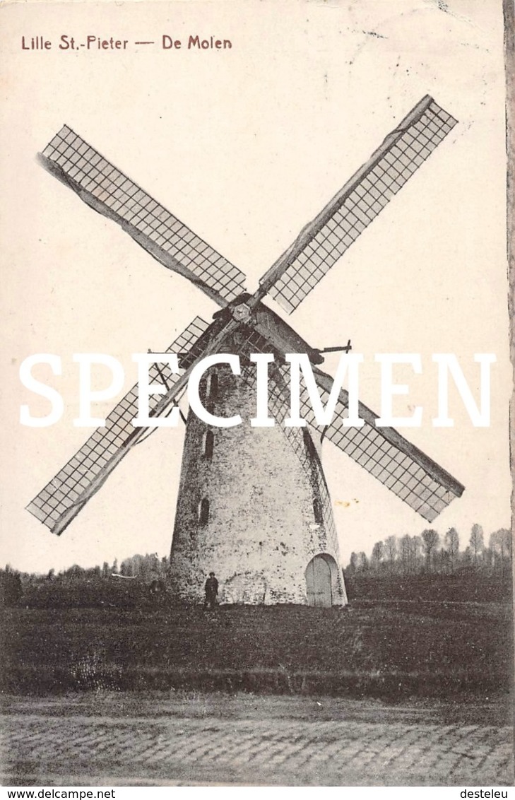 De Molen Lille  St-Pieter - Lille