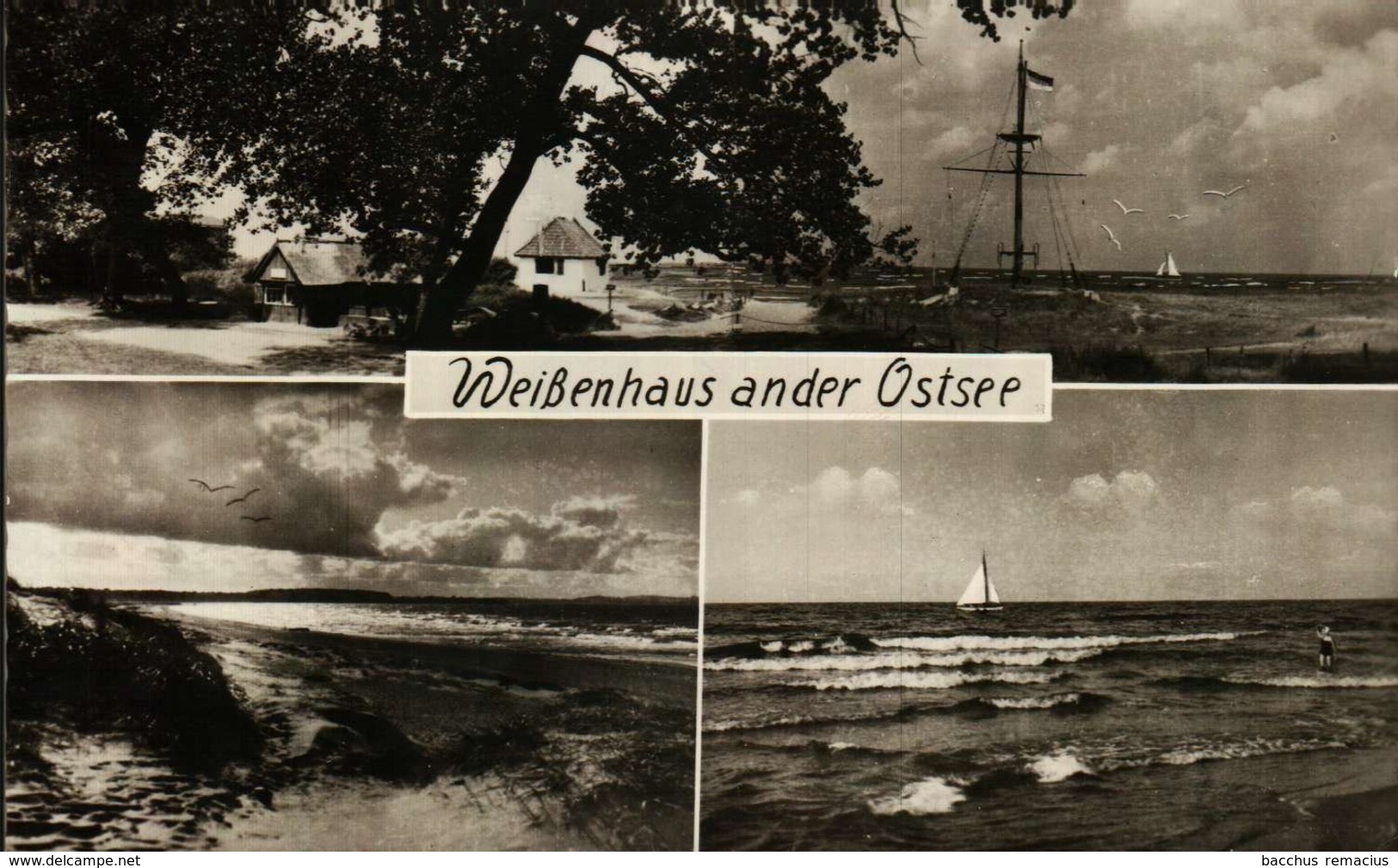 WEISSENHAUS AN DER OSTSEE  Interessanter Poststempel - Oldenburg (Holstein)