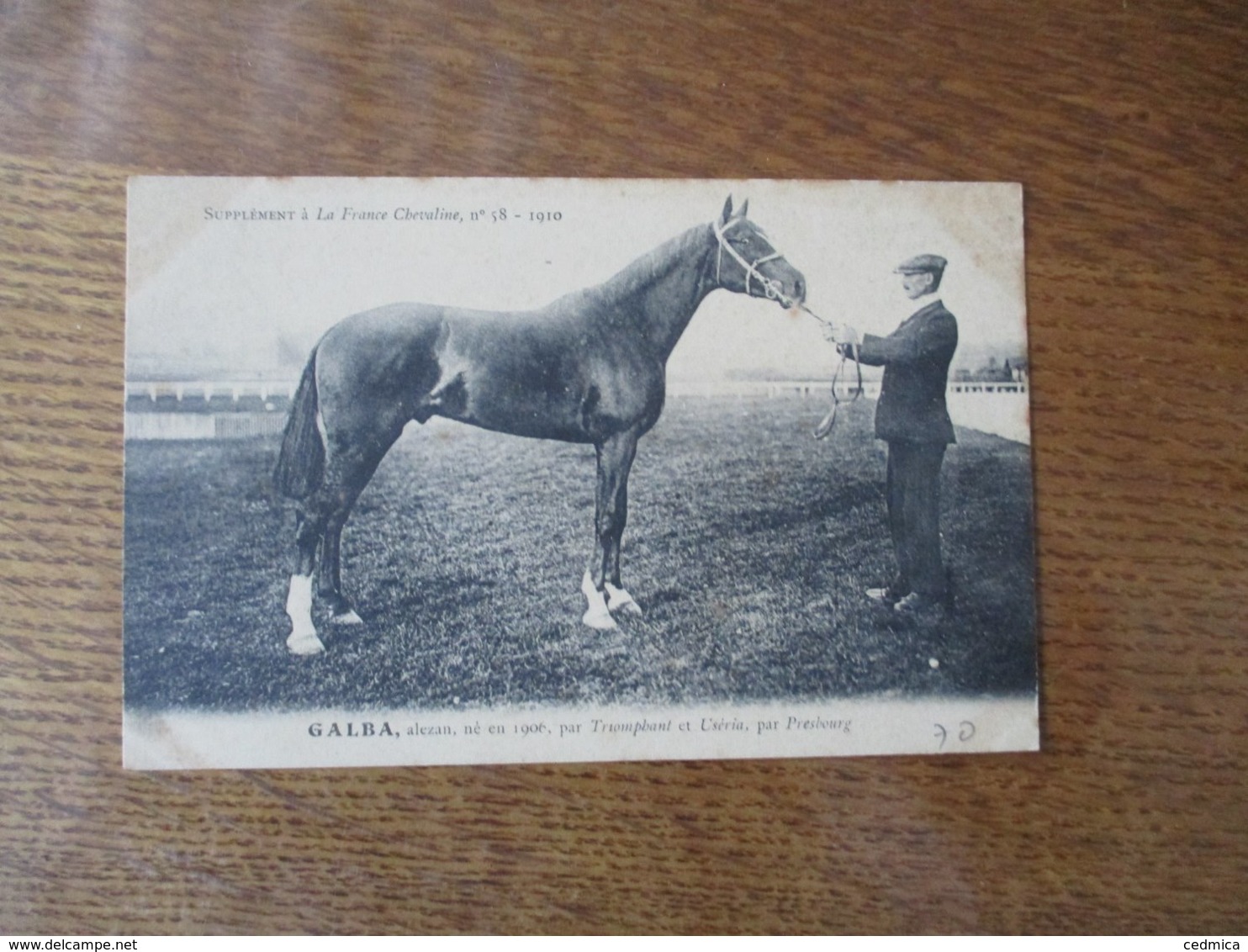 GALBA,ALEZAN,NE EN 1906,PAR TRIOMPHANT ET USERIA,PAR PRESBOURG, SUPPLEMENT A LA FRANCE CHEVALINE N°58-1910 - Caballos