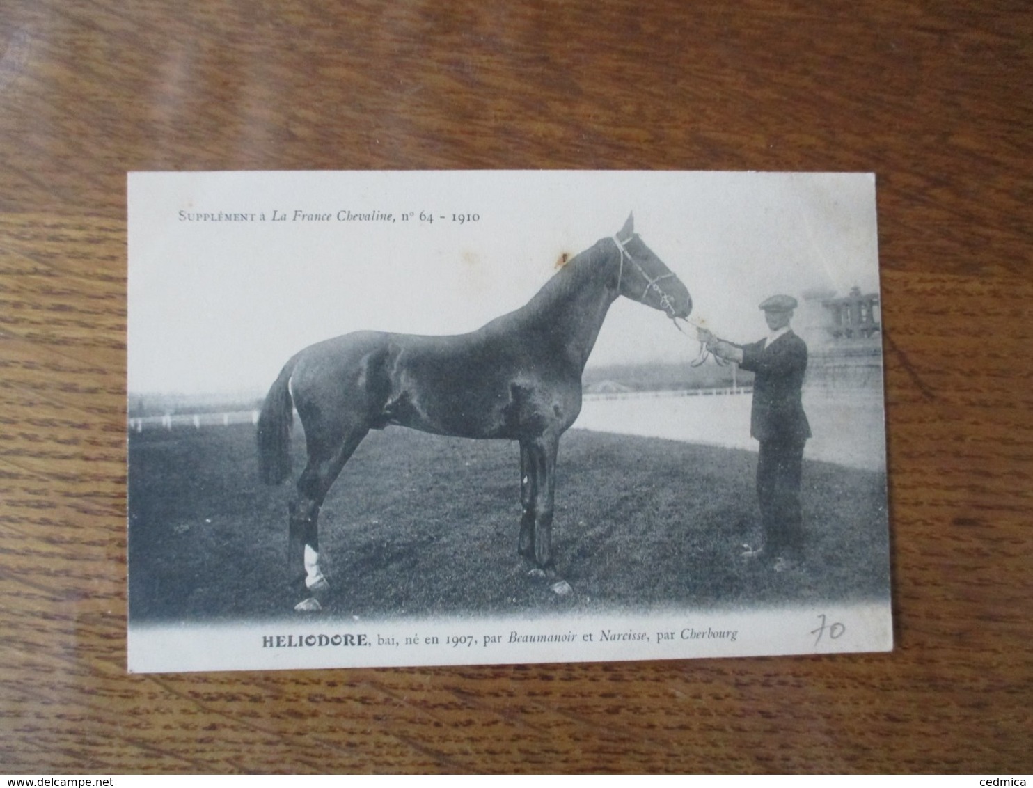 HELIODORE,BAI,NE EN 1907,PAR BEAUMANOIR ET NARCISSE,PAR CHERBOURG, SUPPLEMENT A LA FRANCE CHEVALINE N°64-1910 - Horses