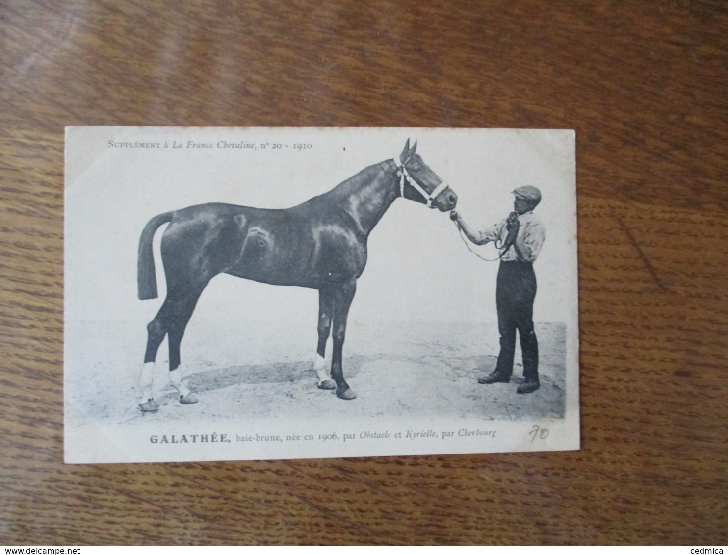 GALATHEE,BAI-BRUNE,NEE EN 1906,PAR OBSTACLE  ET KYRIELLE,PAR CHERBOURG, SUPPLEMENT A LA FRANCE CHEVALINE N°20-1910 - Pferde