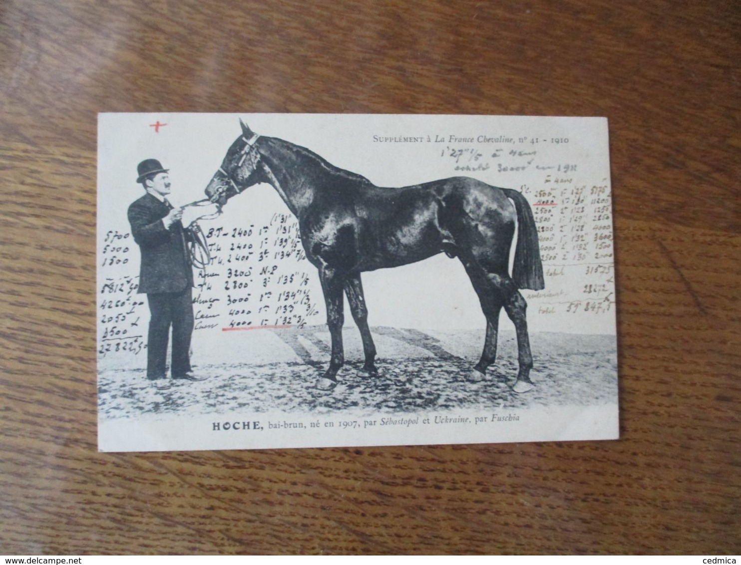 HOCHE,BAI-BRUN,NE EN 1907,PAR SEBASTOPOL ET UCKRAINE,PAR FUSCHIA, SUPPLEMENT A LA FRANCE CHEVALINE N°41-1910 - Pferde