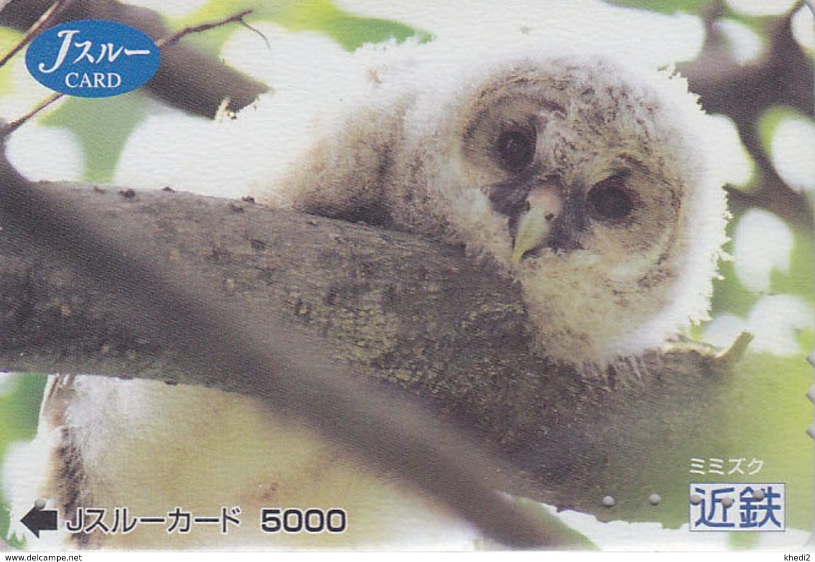 Carte Prépayée Japon - Animal - Oiseau HIBOU - OWL Bird Japan JR J Card - EULE Vogel Karte - 4311 - Búhos, Lechuza