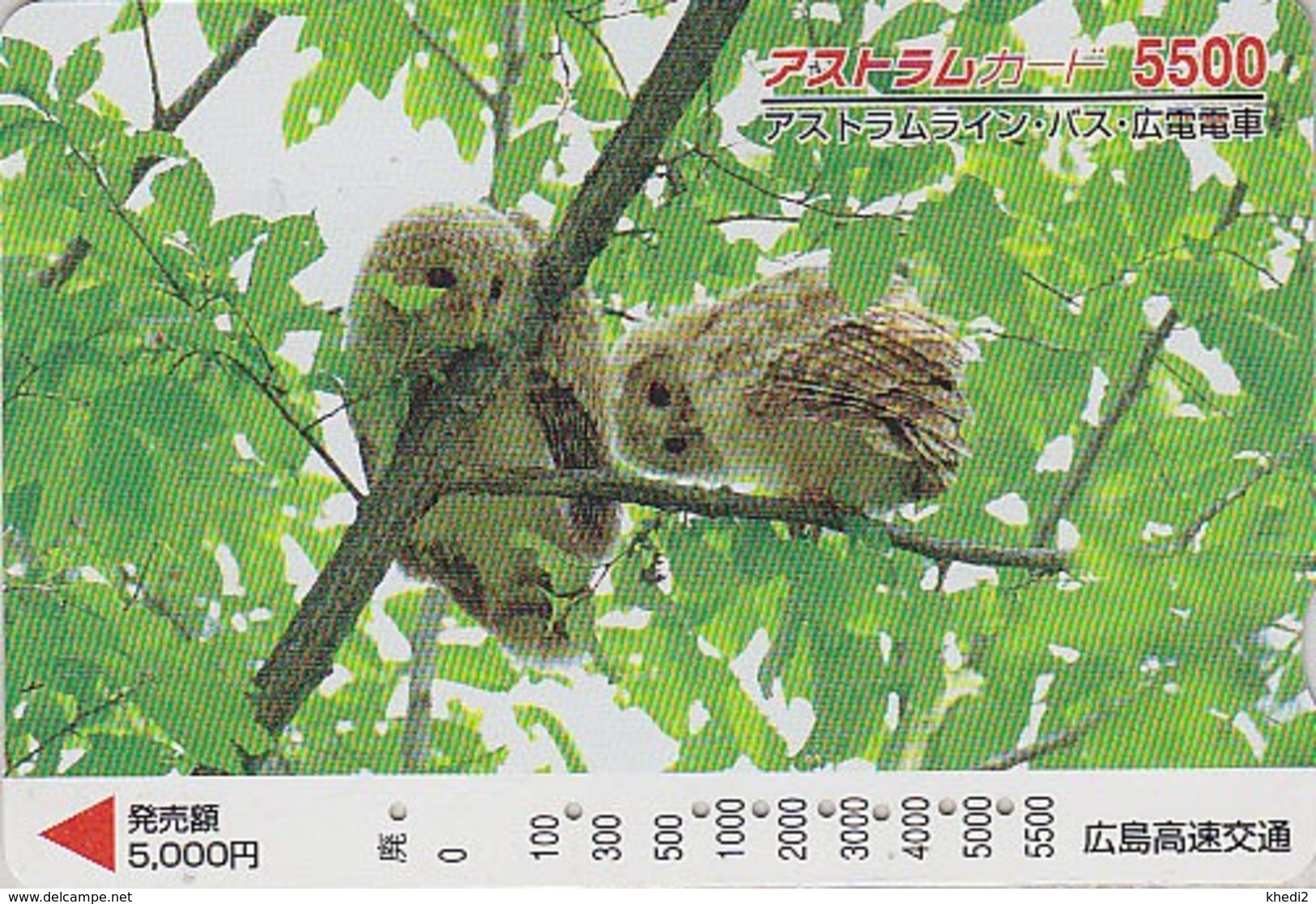 Carte Prépayée Japon - Animal - OISEAU - HIBOU / Chouette Hulotte - OWL BIRD Japan Prepaid Card - EULE VOGEL - FR 4312 - Uilen