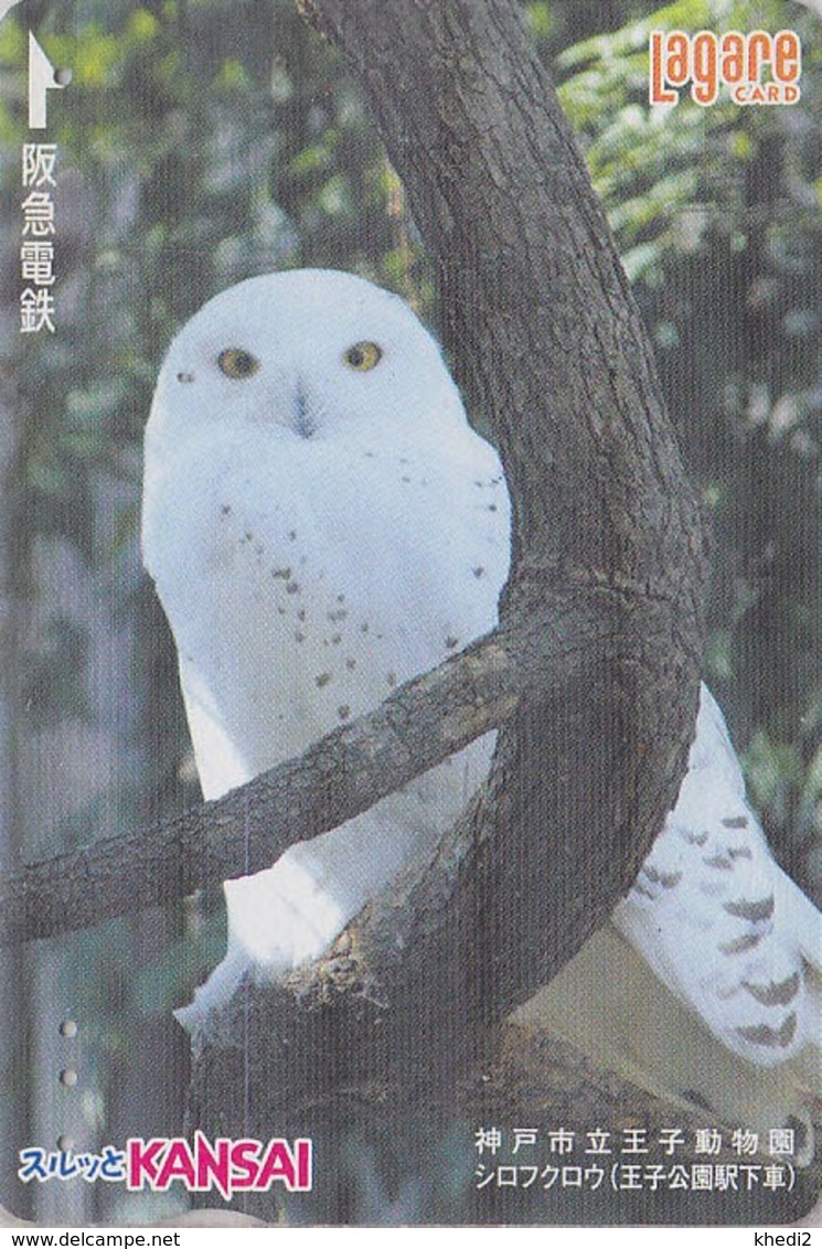 Carte Prépayée JAPON - Animal -  Oiseau HIBOU - OWL Bird JAPAN Kansai Lagare Ticket Card - EULE Vogel Karte - 4315 - Gufi E Civette