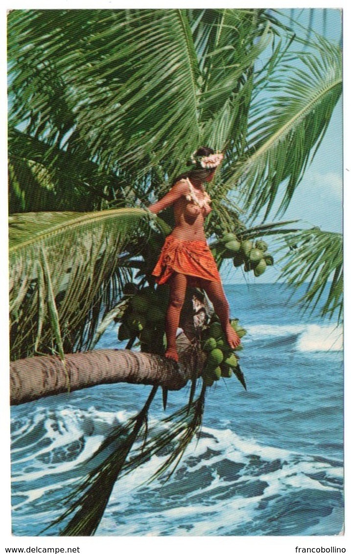 POLYNESIE - TAHITI GIRL / SEINS NUS/BREASTS NUDE - Polinesia Francese