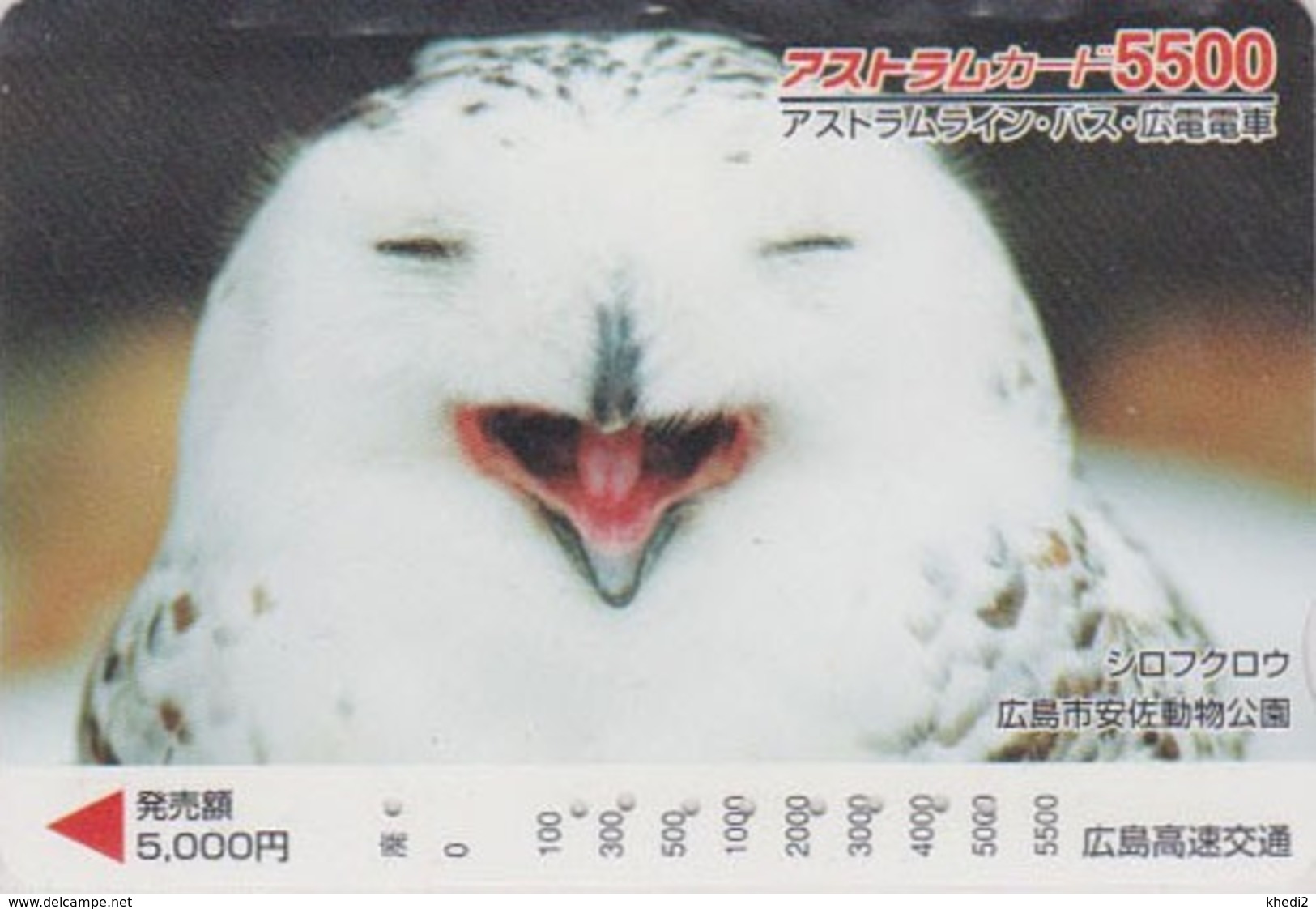 Carte Prépayée Japon - Animal -  Oiseau HIBOU HARFANG - SNOWY OWL BIRD Japan Prepaid Bus - EULE - FR 4324 - Hiboux & Chouettes