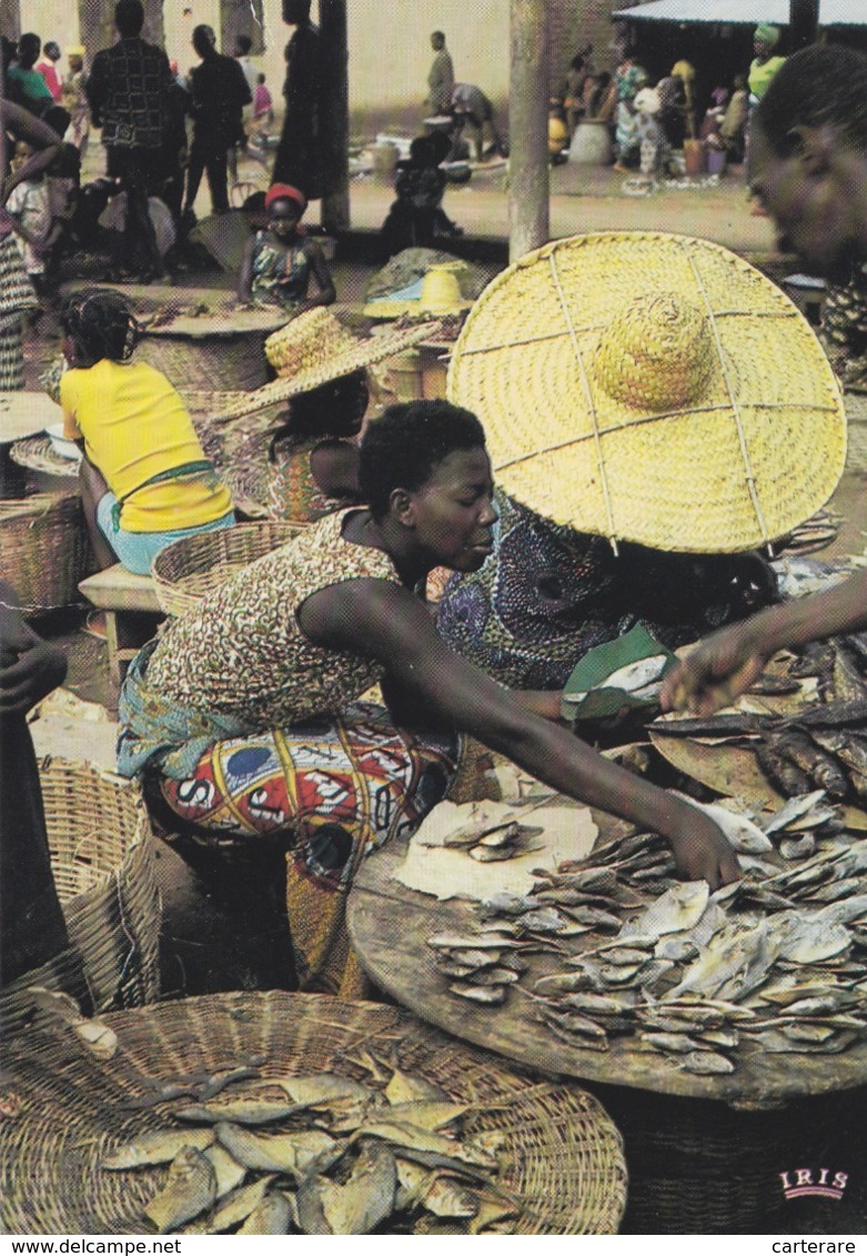 AFRIQUE,CONGO,BRAZZAVILLE,VENTE DE POISSON - Brazzaville