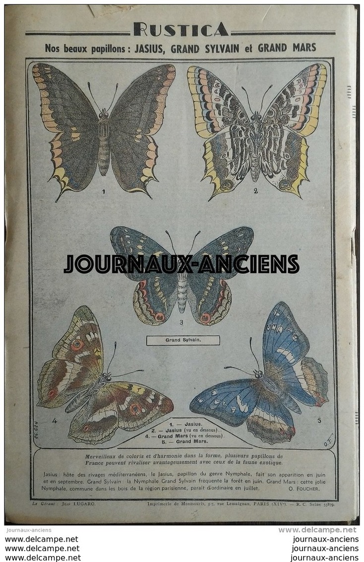 1938 RUSTICA Journal Universel De La Campagne N° 33 LES QUALITÉS DU PORC DE BAYEUX  - BEAUX PAPILLONS - Altri & Non Classificati