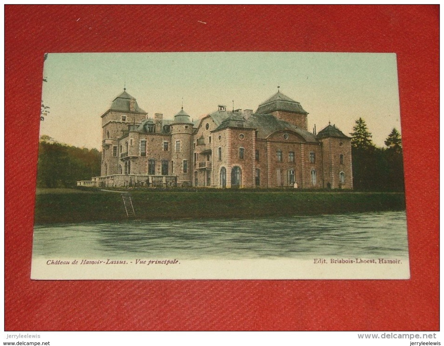 HAMOIR  -  Château De Hamoir - Lassus - Vue Principale - Huy