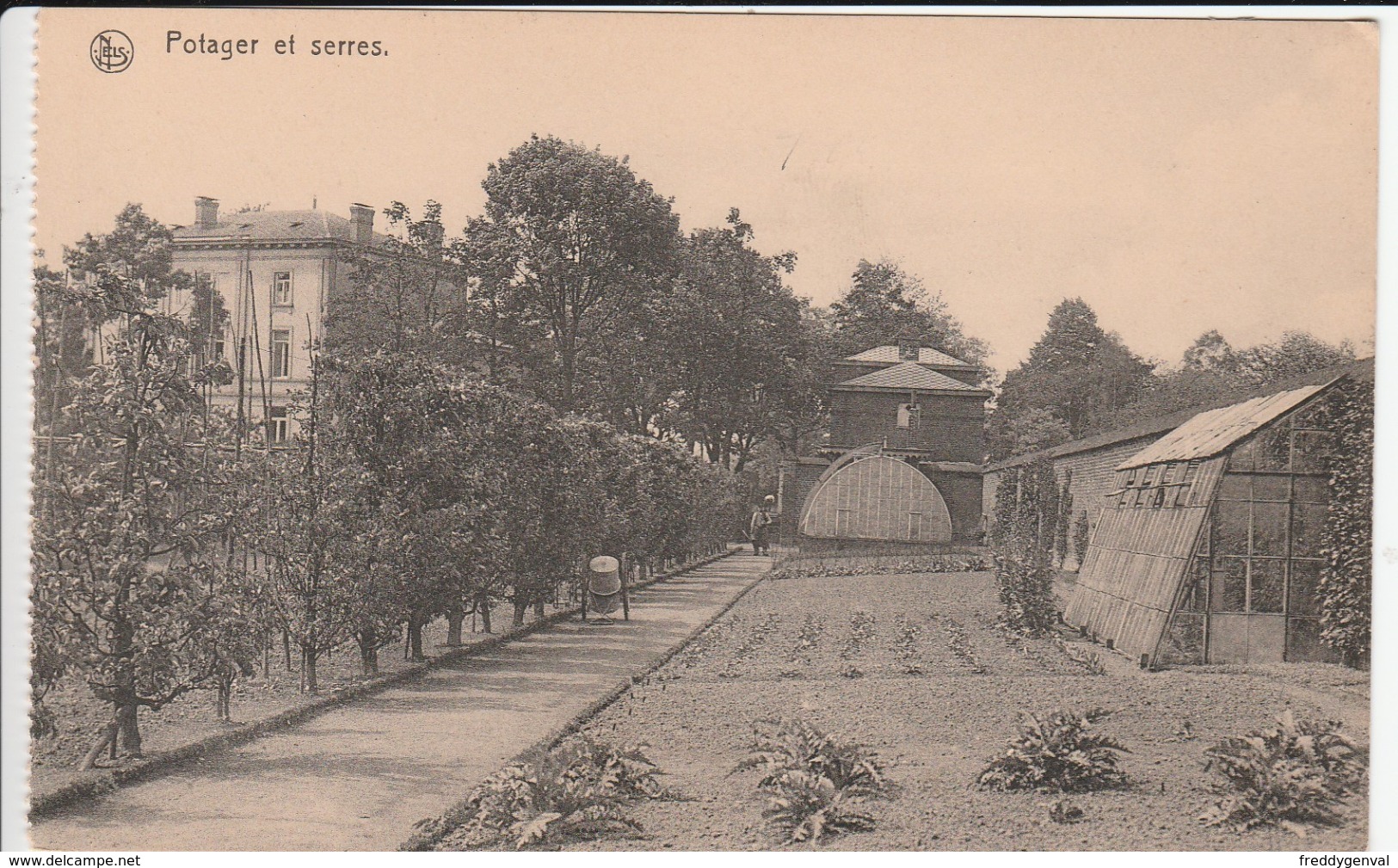 FLEURUS INSTITUT ST VICTOR SERRES ET POTAGER - Fleurus