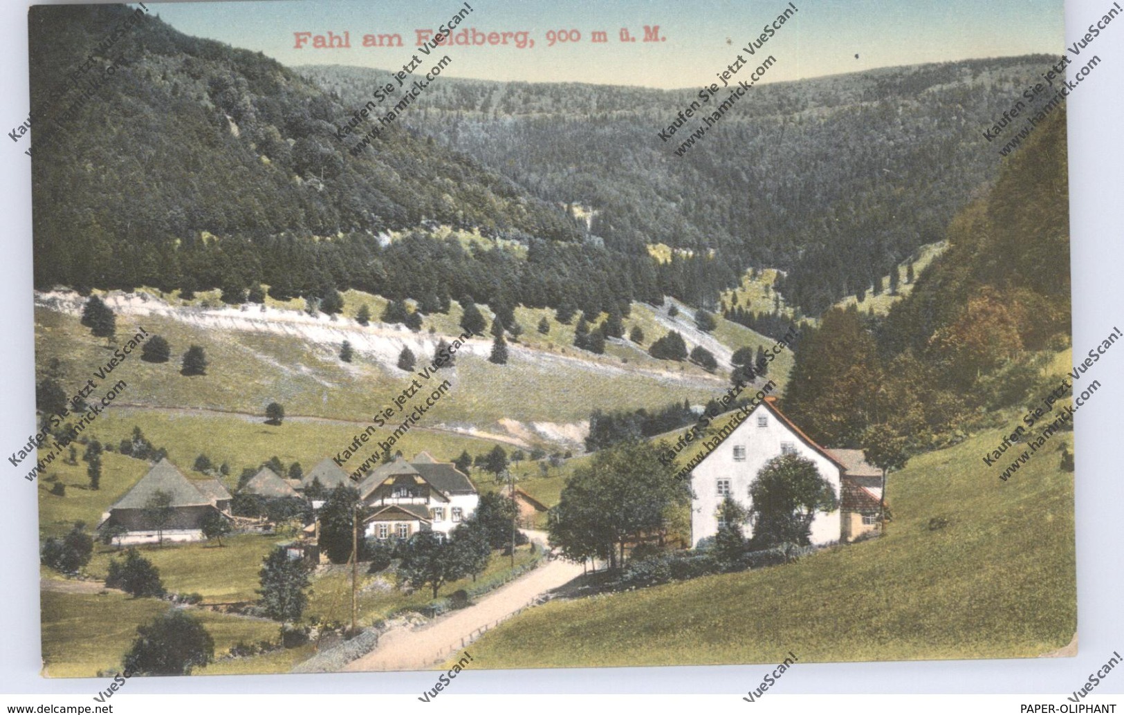 7868 TODTNAU - FAHL, Dorfansicht 1921 - Todtnau