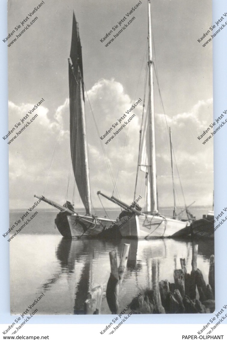 0-2383 PREROW / Darß, Zeesenboote Auf Dem Bodden, 1957 - Fischland/Darss
