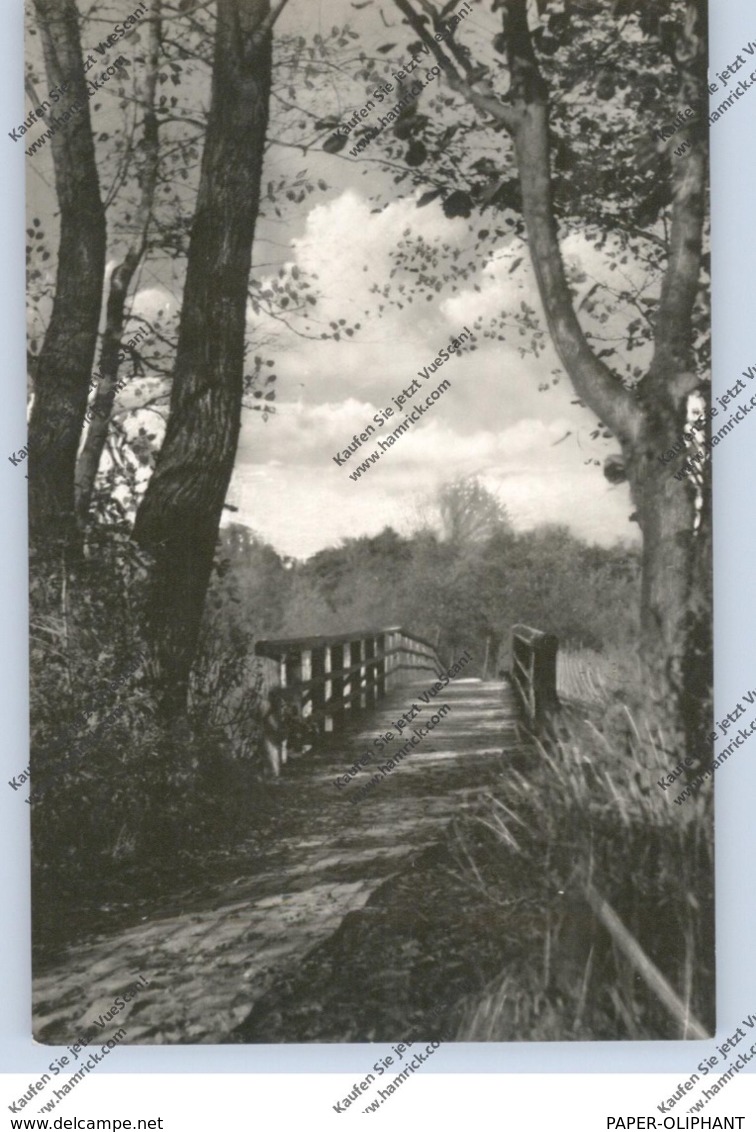 0-2383 PREROW / Darß, Brücke über Den Strom, 1957 - Fischland/Darss